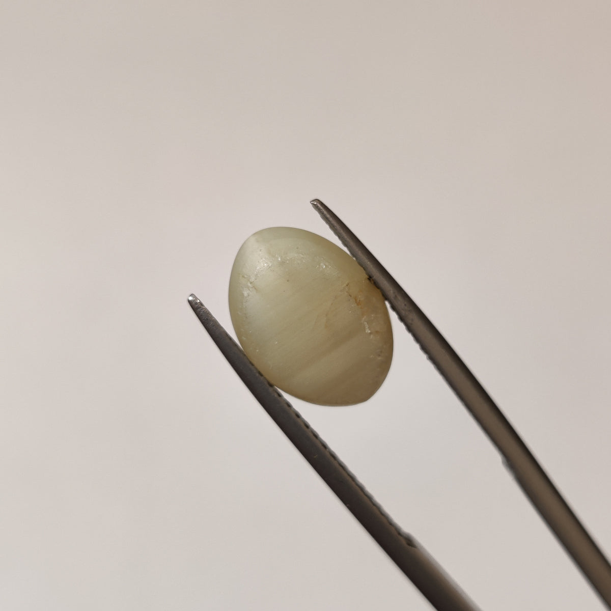 Natural Cats Eye (Lehsunia) | CE 65 | 5.21 Carat | Certified