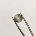 Cats Eye | CE 75 | 4.51 Carat
