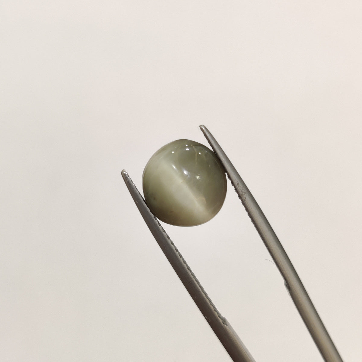 Natural Cats Eye (Lehsunia) | CE 75 | 4.51 Carat | Certified