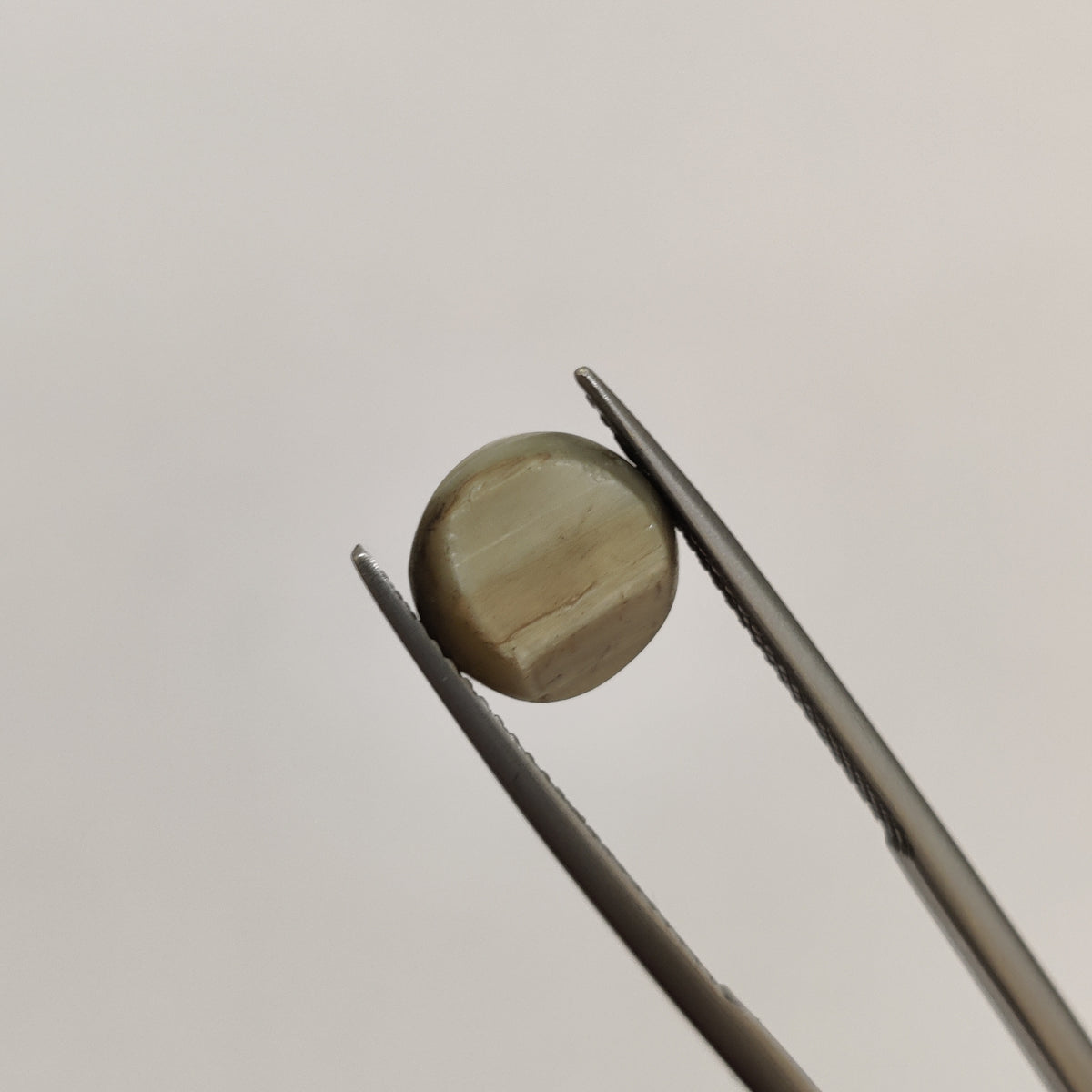 Natural Cats Eye (Lehsunia) | CE 75 | 4.51 Carat | Certified