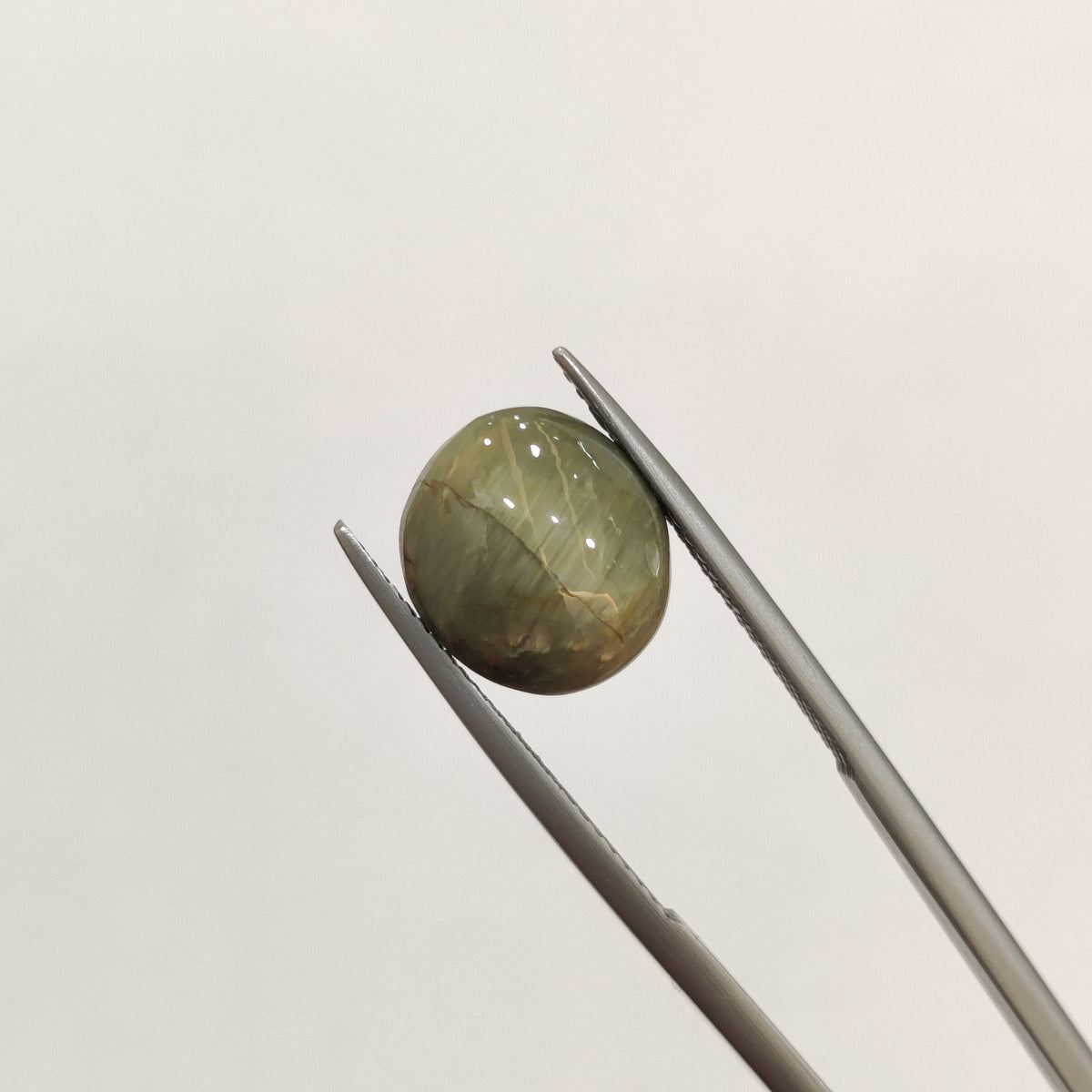 Natural Cats Eye (Lehsunia) | CE 89 | 6.23 Carat | Certified