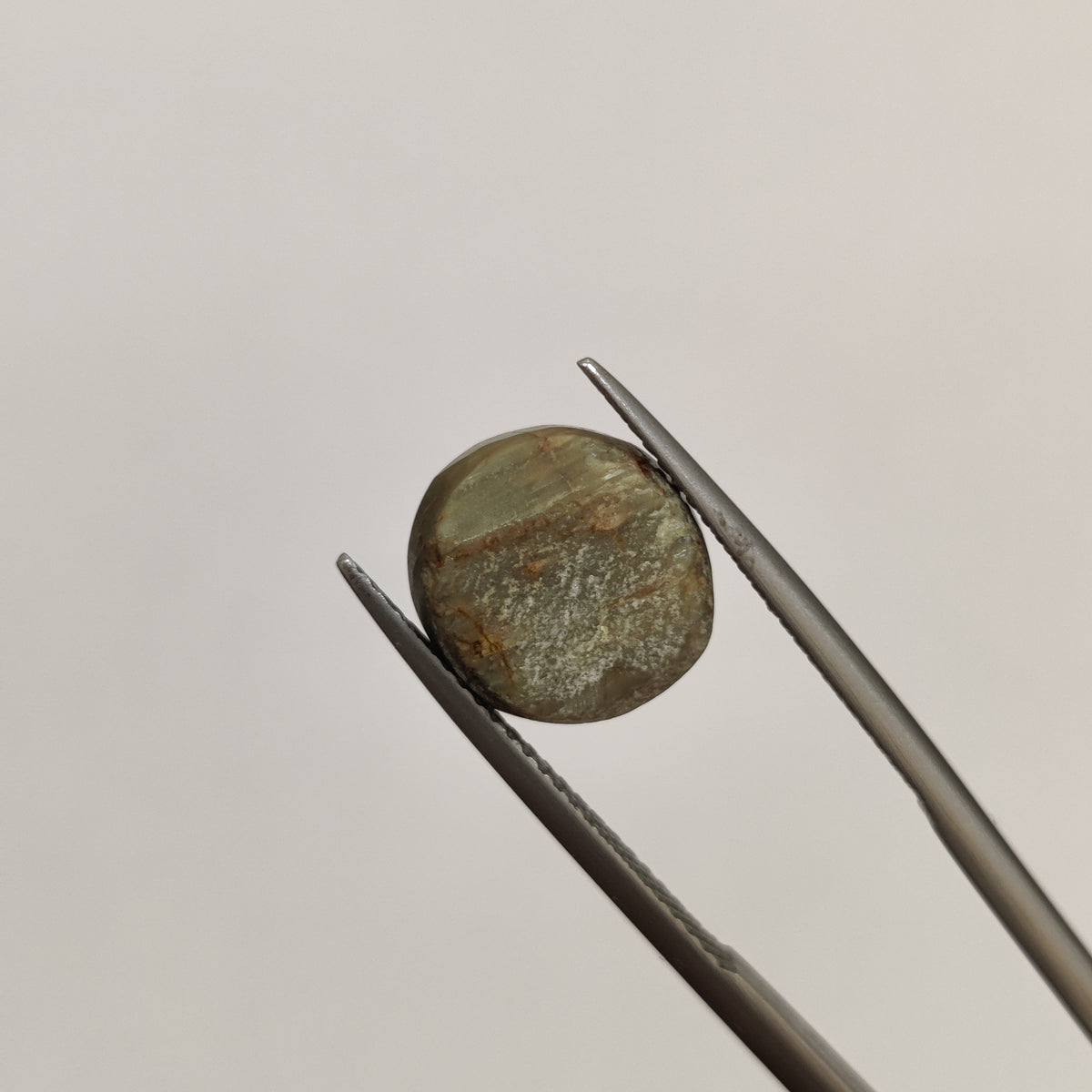 Natural Cats Eye (Lehsunia) | CE 89 | 6.23 Carat | Certified