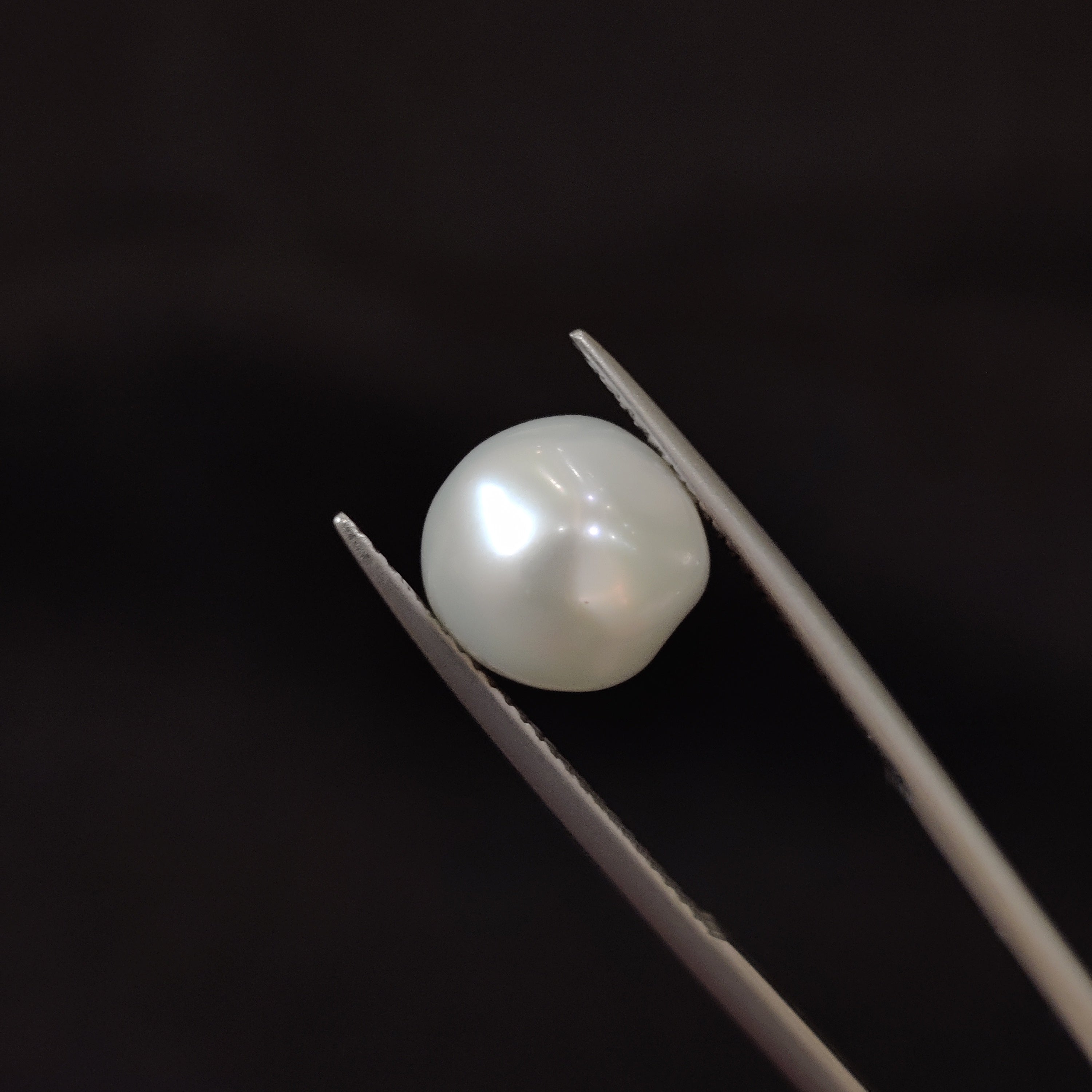 Pearl | Pearl 230 | 0 Carat