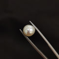 Pearl | Pearl 67 | 3.89 Carat