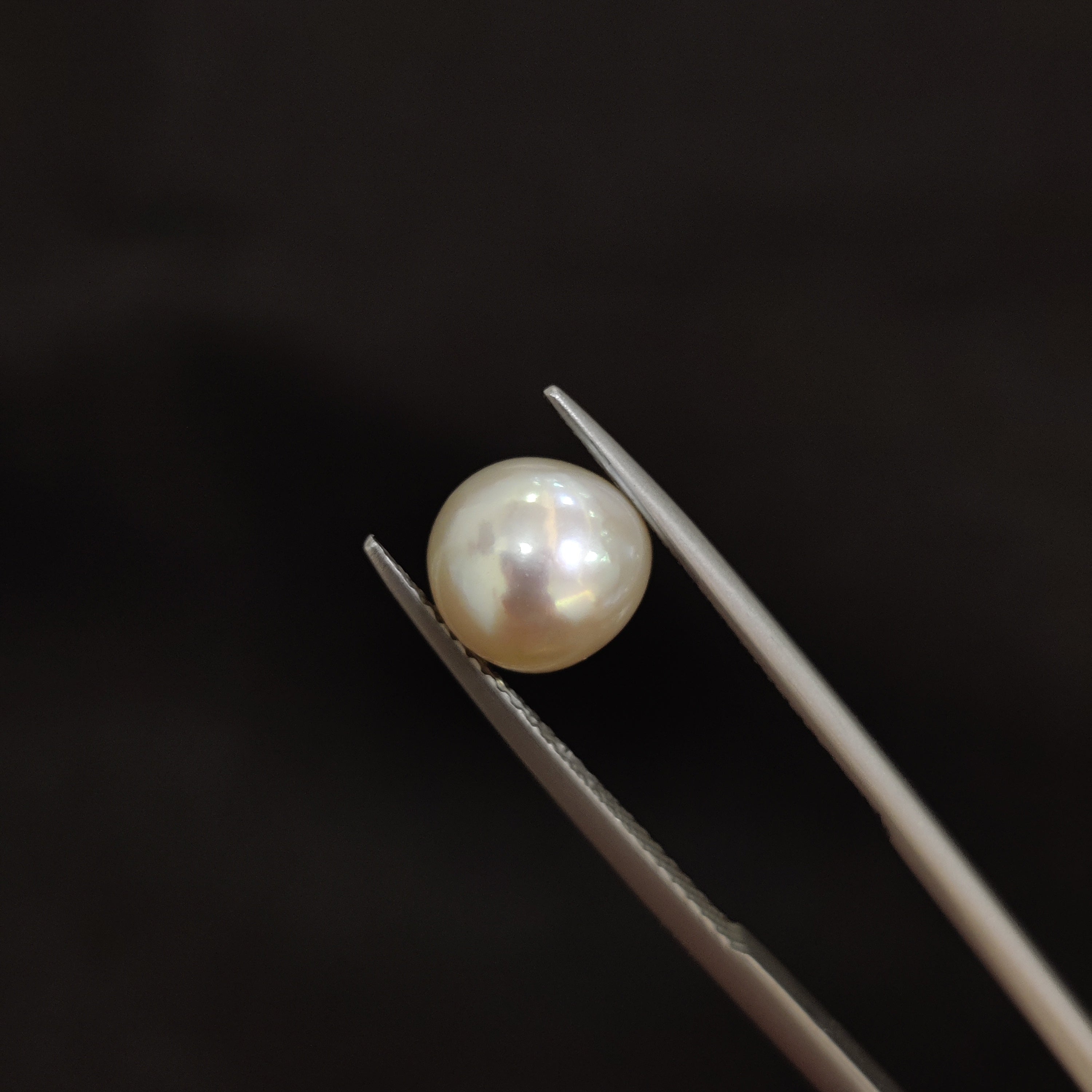 Pearl | Pearl 67 | 3.89 Carat