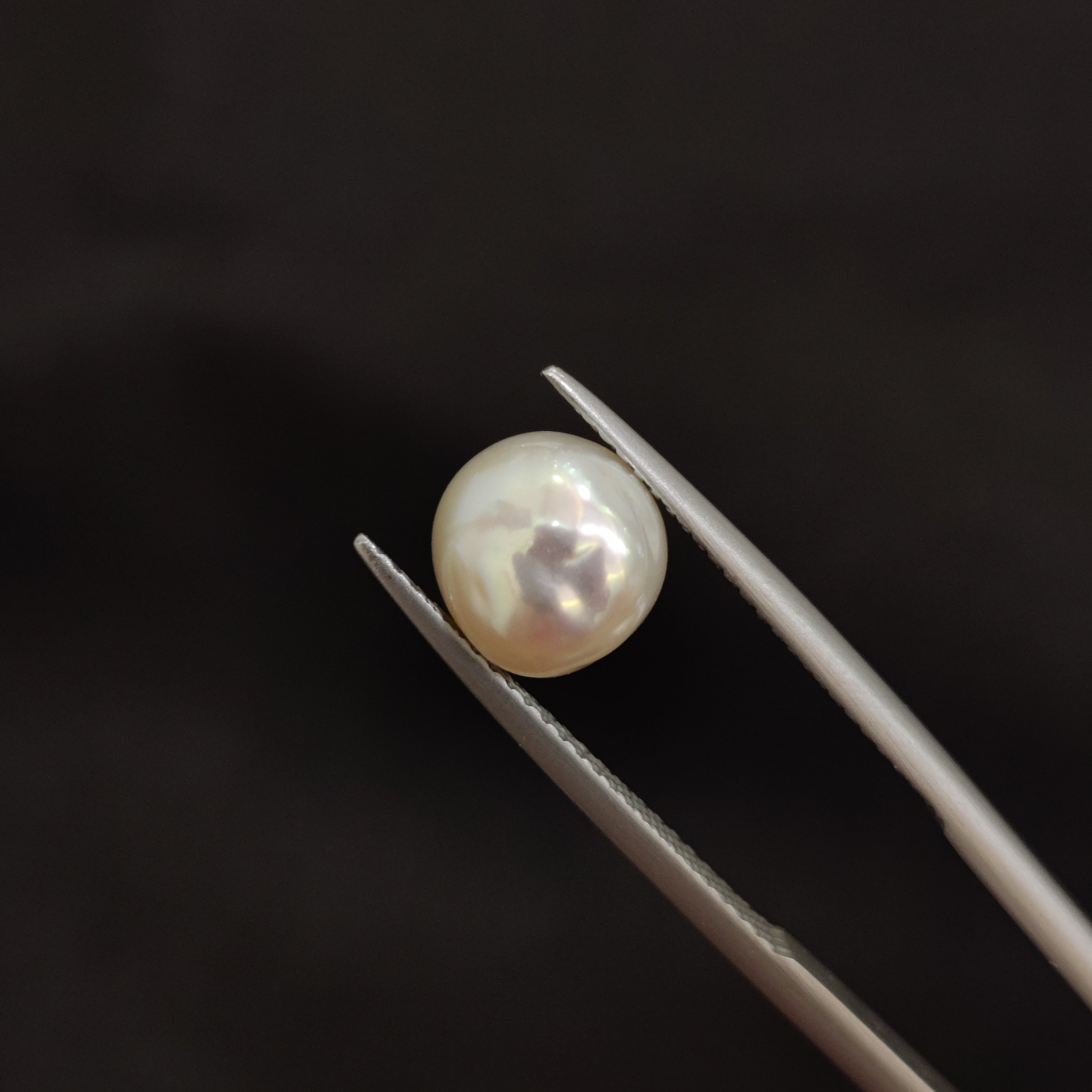 Pearl | Pearl 67 | 3.89 Carat