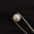 Pearl | Pearl 73 | 7.03 Carat