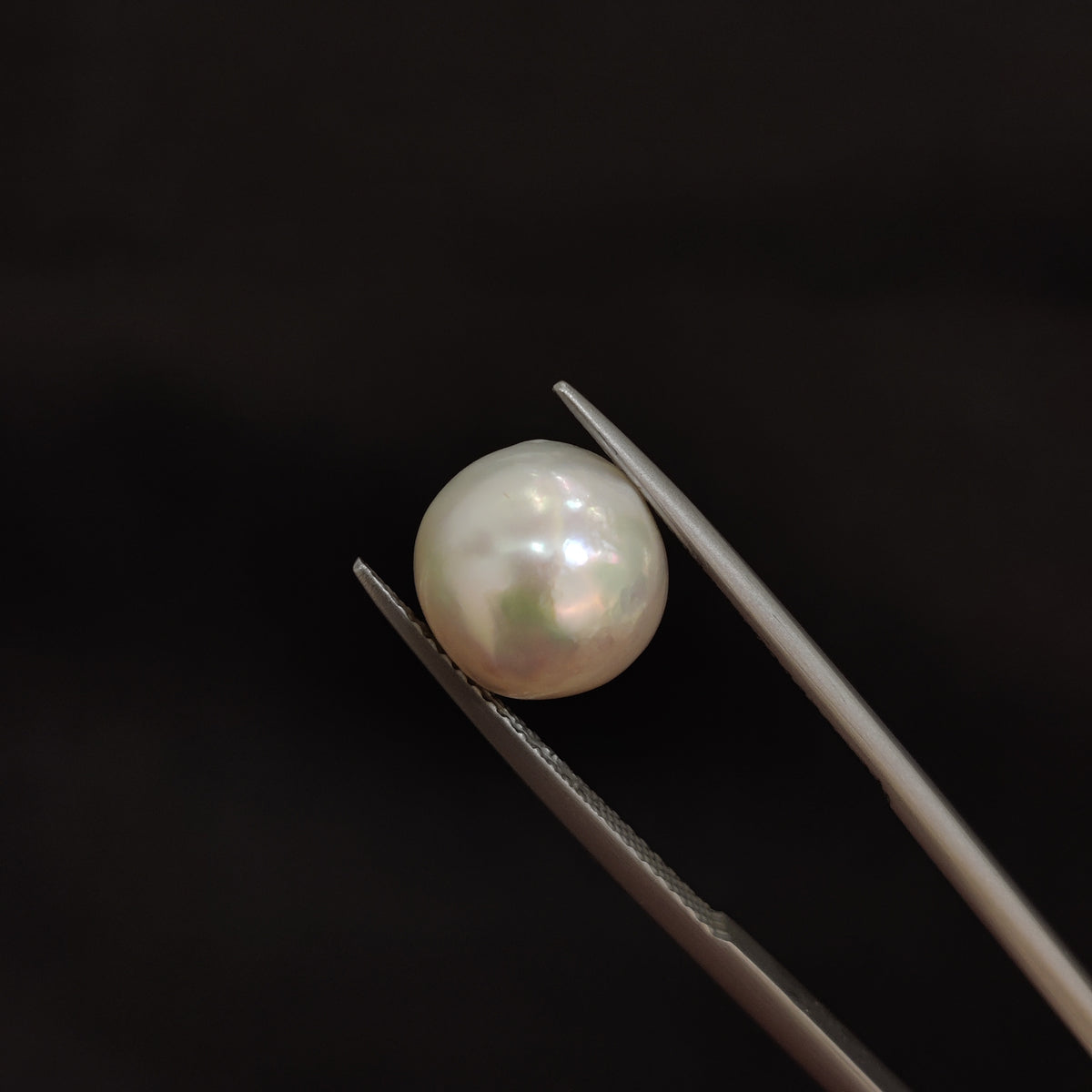 Natural Pearl (Moti) | Pearl 73 | 7.03 Carat | Certified