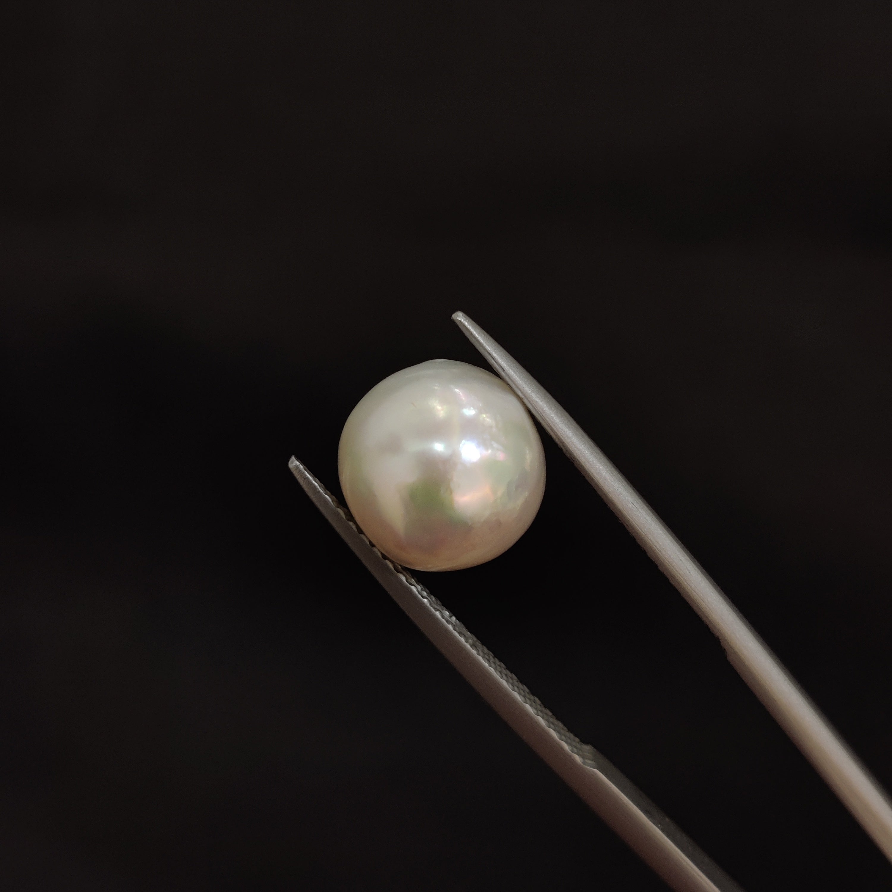 Pearl | Pearl 73 | 7.03 Carat