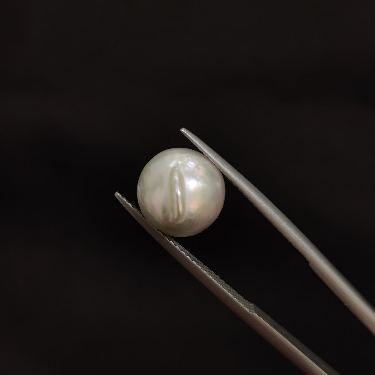 Natural Pearl (Moti) | Pearl 73 | 7.03 Carat | Certified