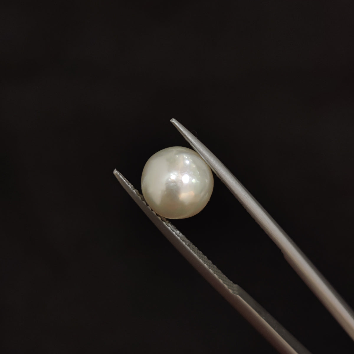 Natural Pearl (Moti) | Pearl 74 | 4.5 Carat | Certified