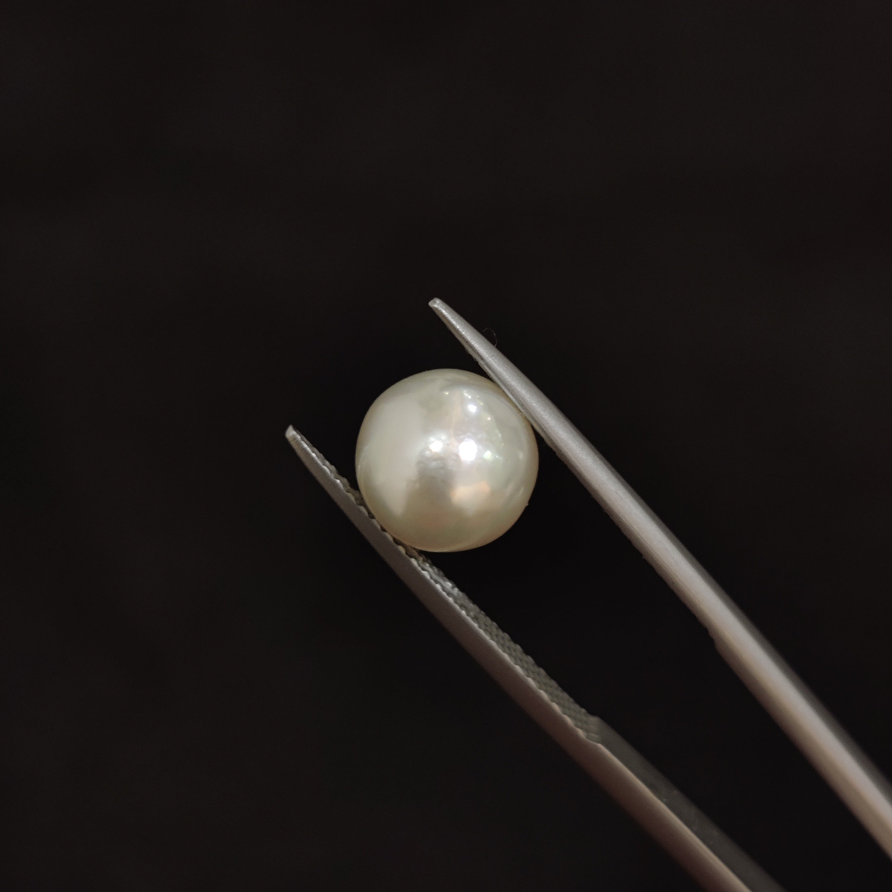 Pearl | Pearl 74 | 4.5 Carat