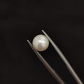 Pearl | Pearl 83 | 3.33 Carat