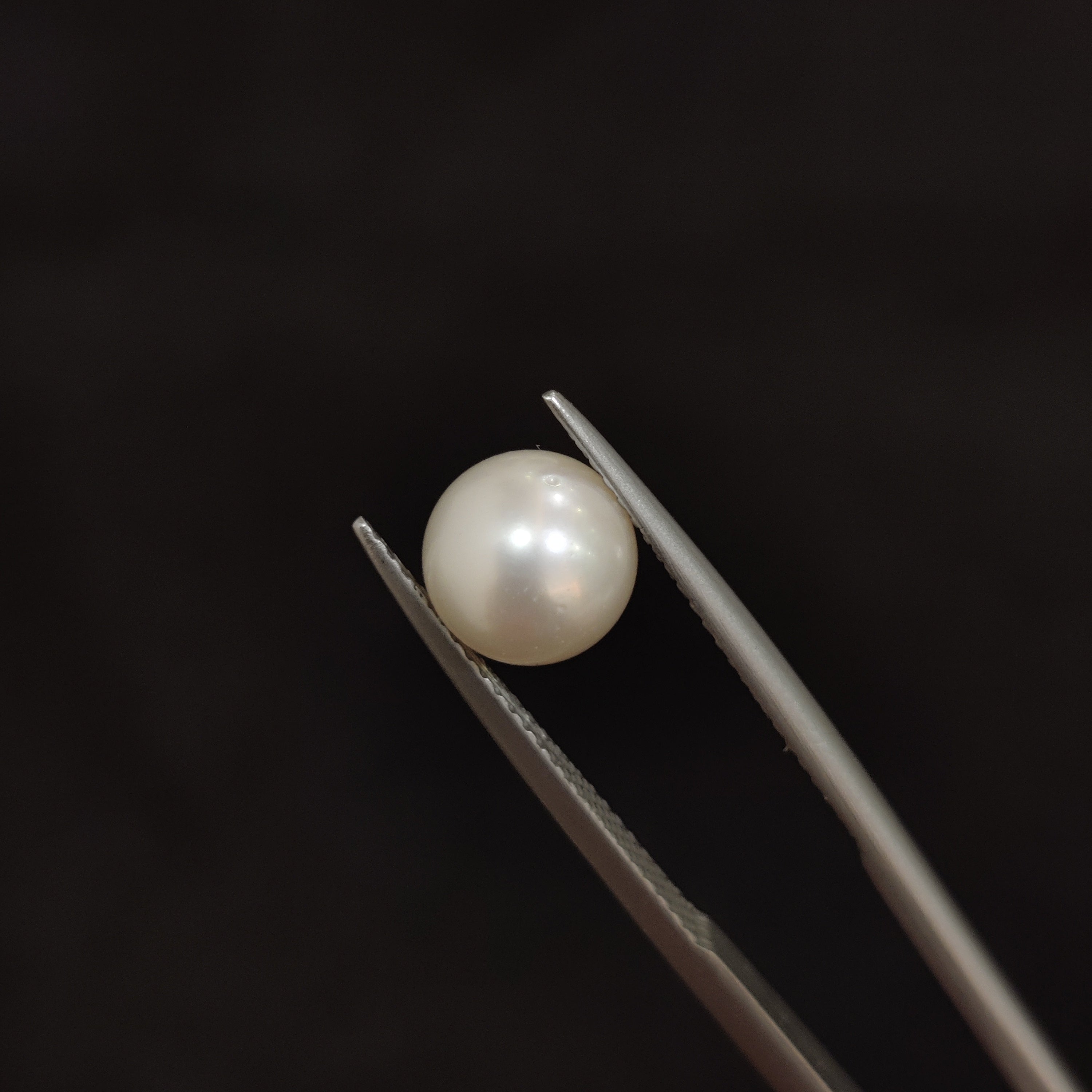 Pearl | Pearl 83 | 3.33 Carat