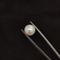 Pearl | Pearl 90 | 4.61 Carat