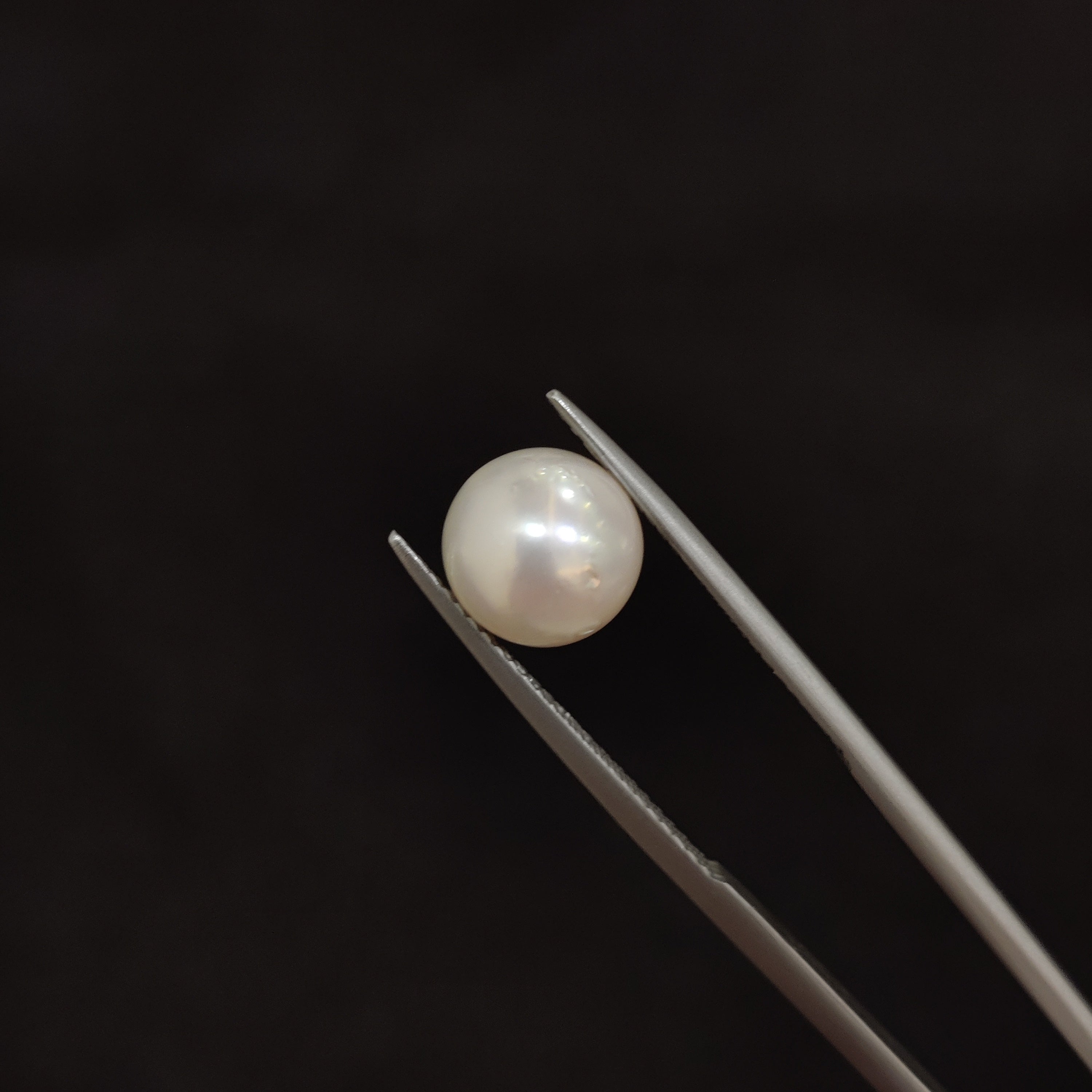 Pearl | Pearl 90 | 4.61 Carat