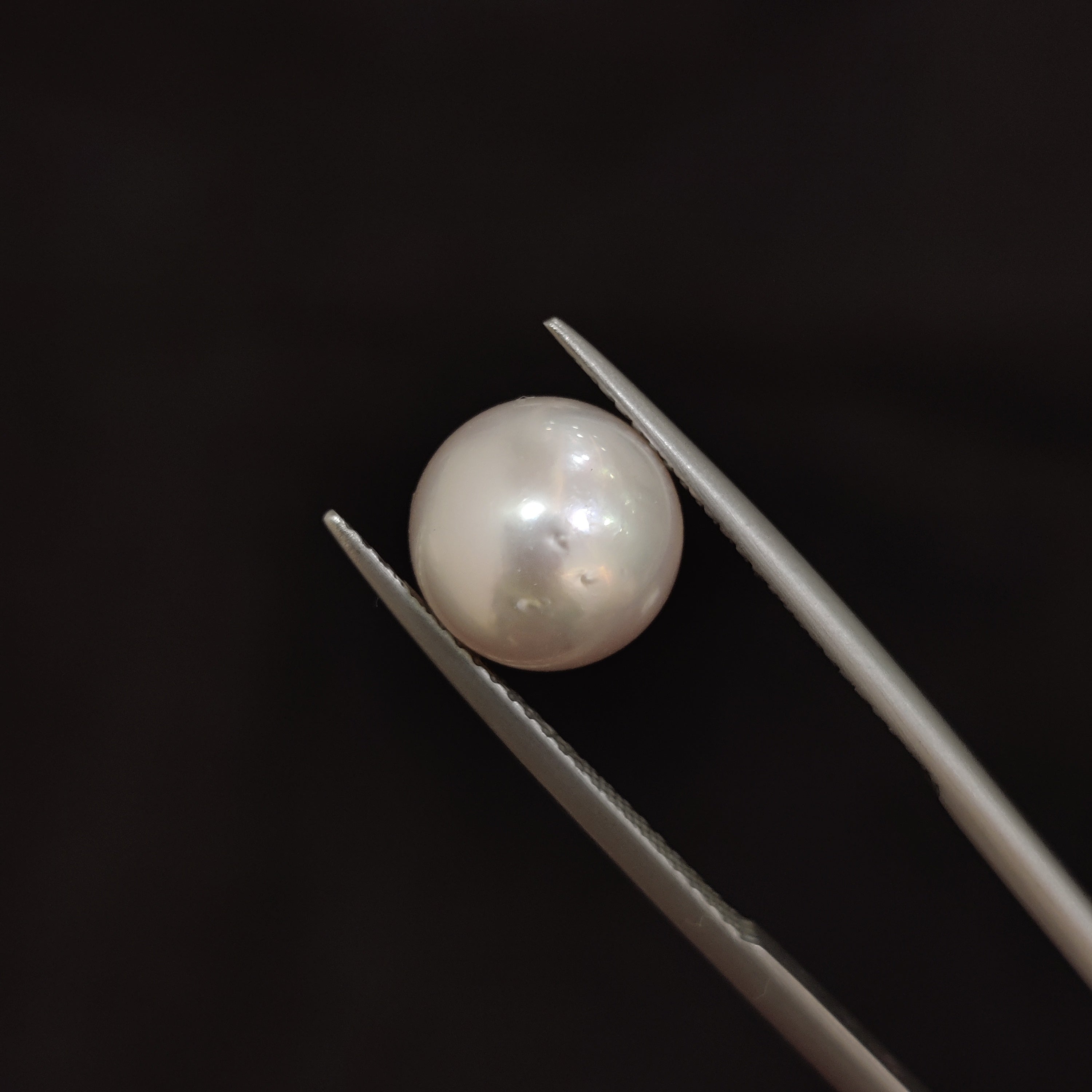 Pearl | Pearl 101 | 6.13 Carat