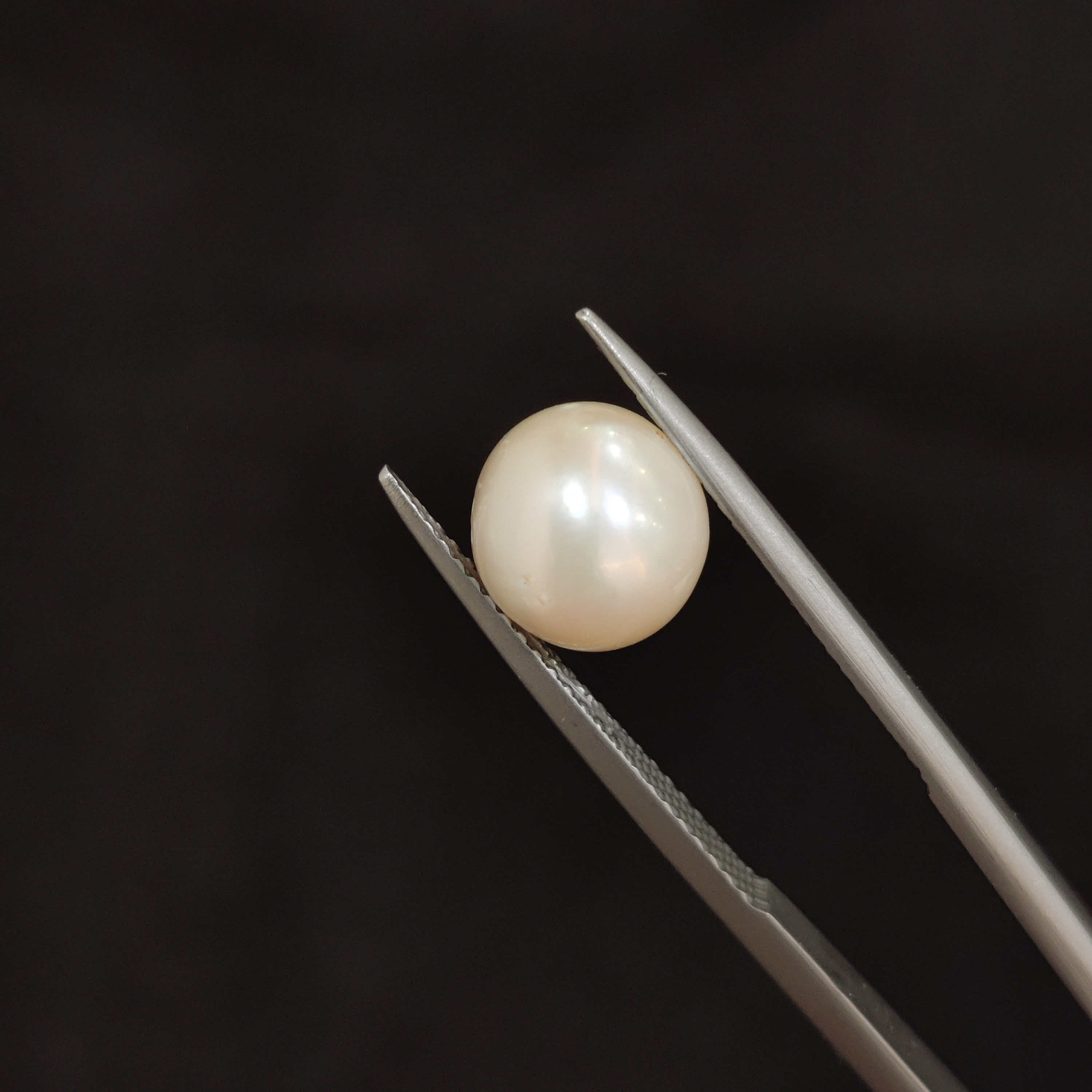 Pearl | Pearl 114 | 4.52 Carat