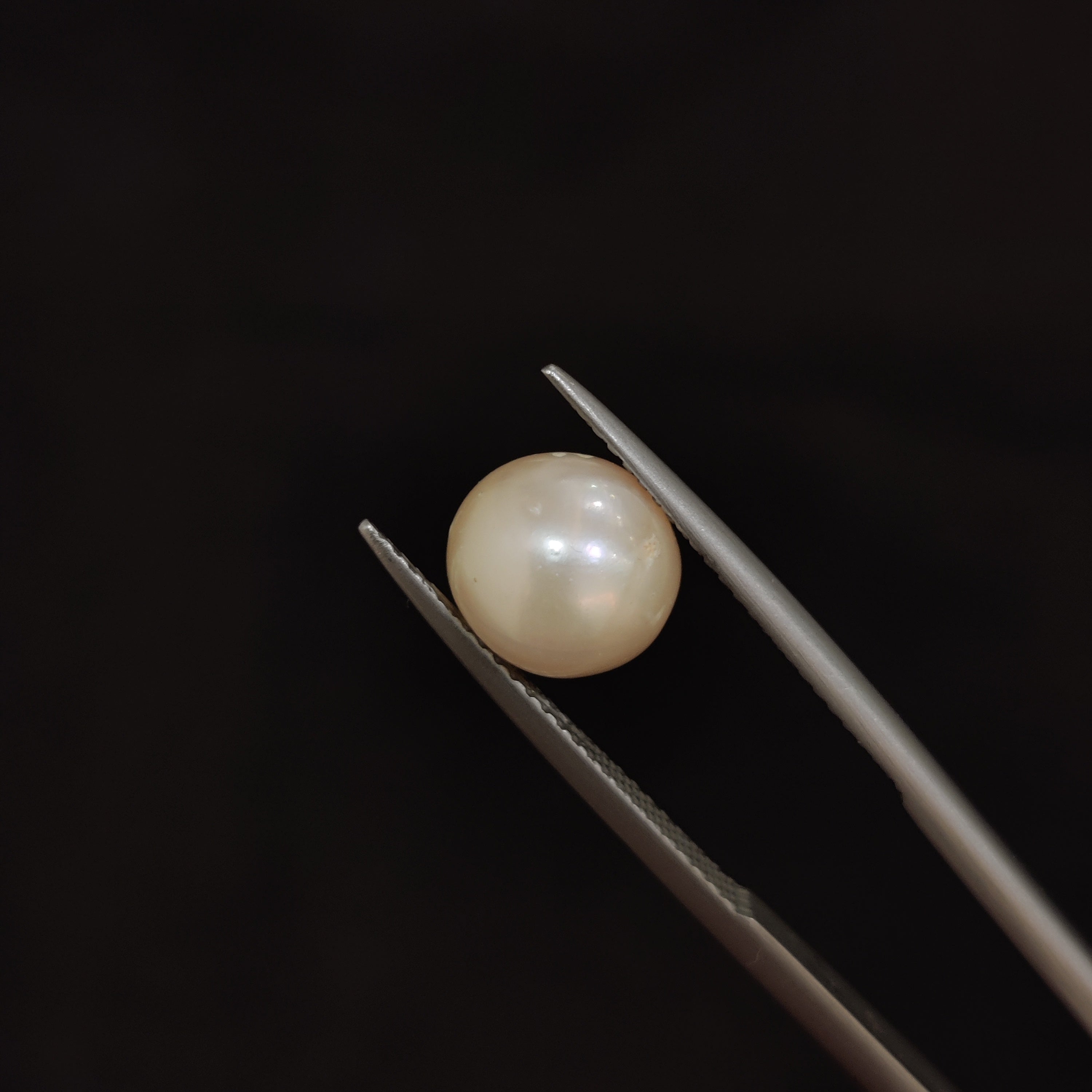 Pearl | Pearl 114 | 4.52 Carat