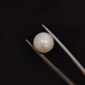 Pearl | Pearl 115 | 5.98 Carat