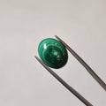 Malachite | Malachite 58 | 12.6 Carat