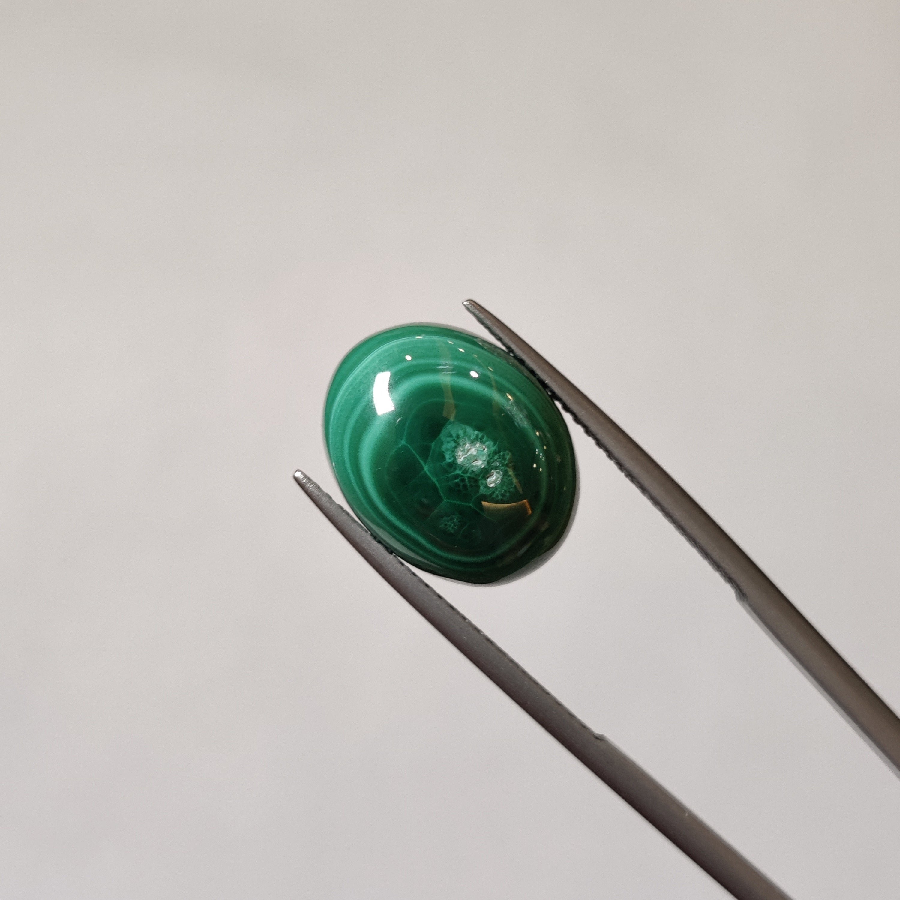 Malachite | Malachite 58 | 12.6 Carat