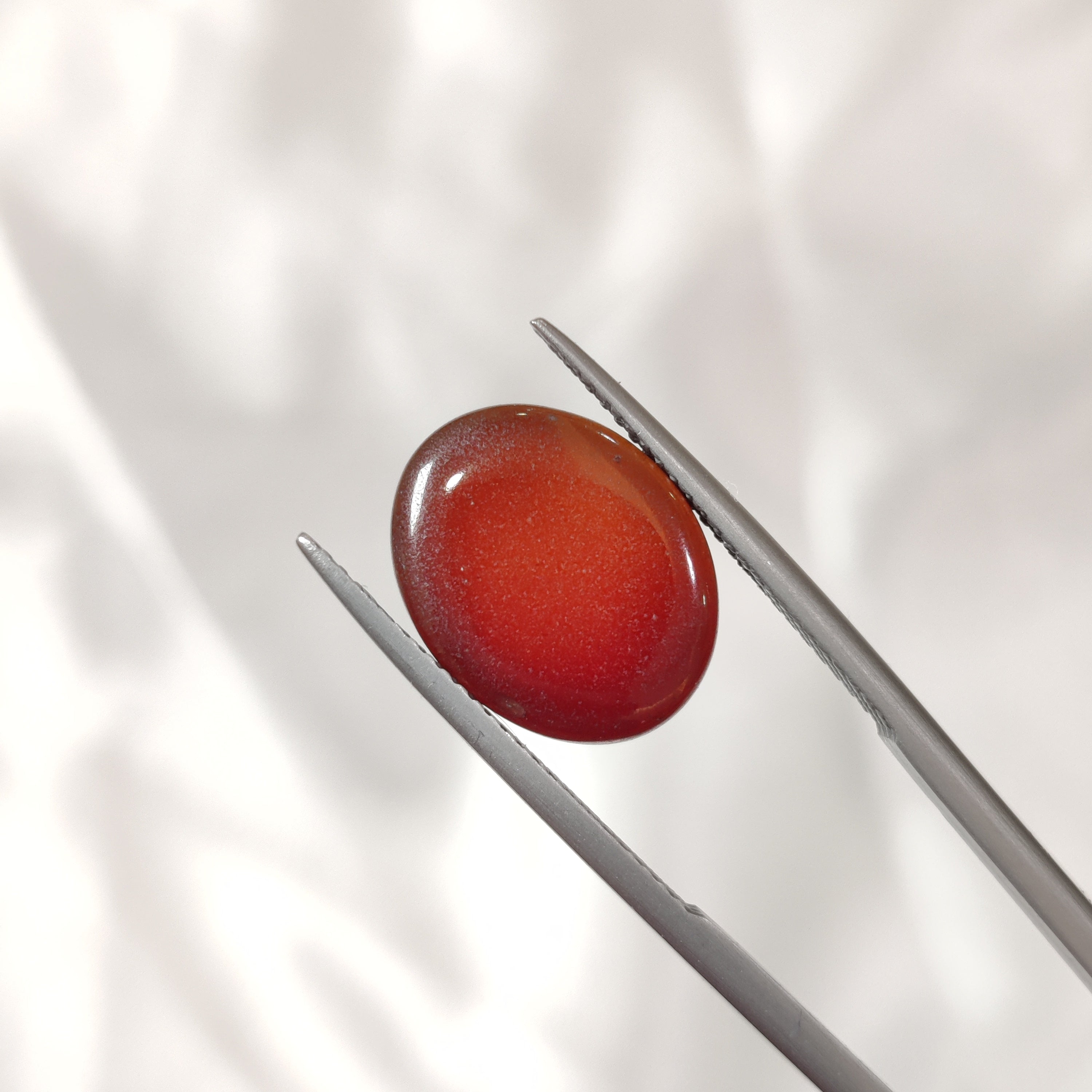 Carnelian | CNL 84 | 6.94 Carat