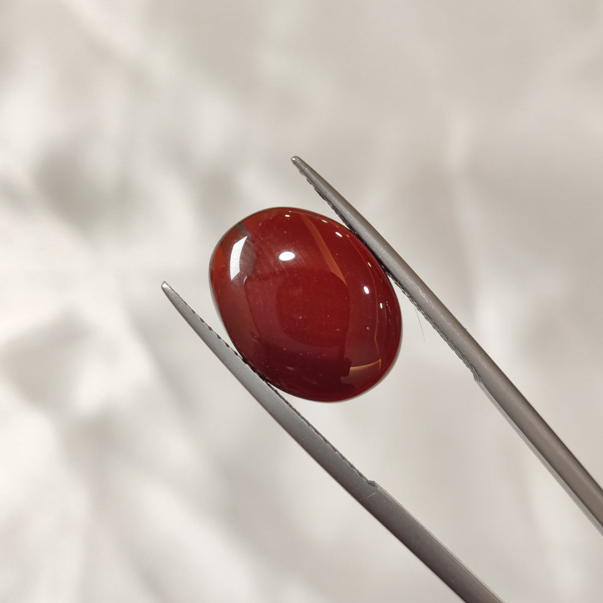 Natural Carnelian | CNL 41 | 6.95 Carat | Certified