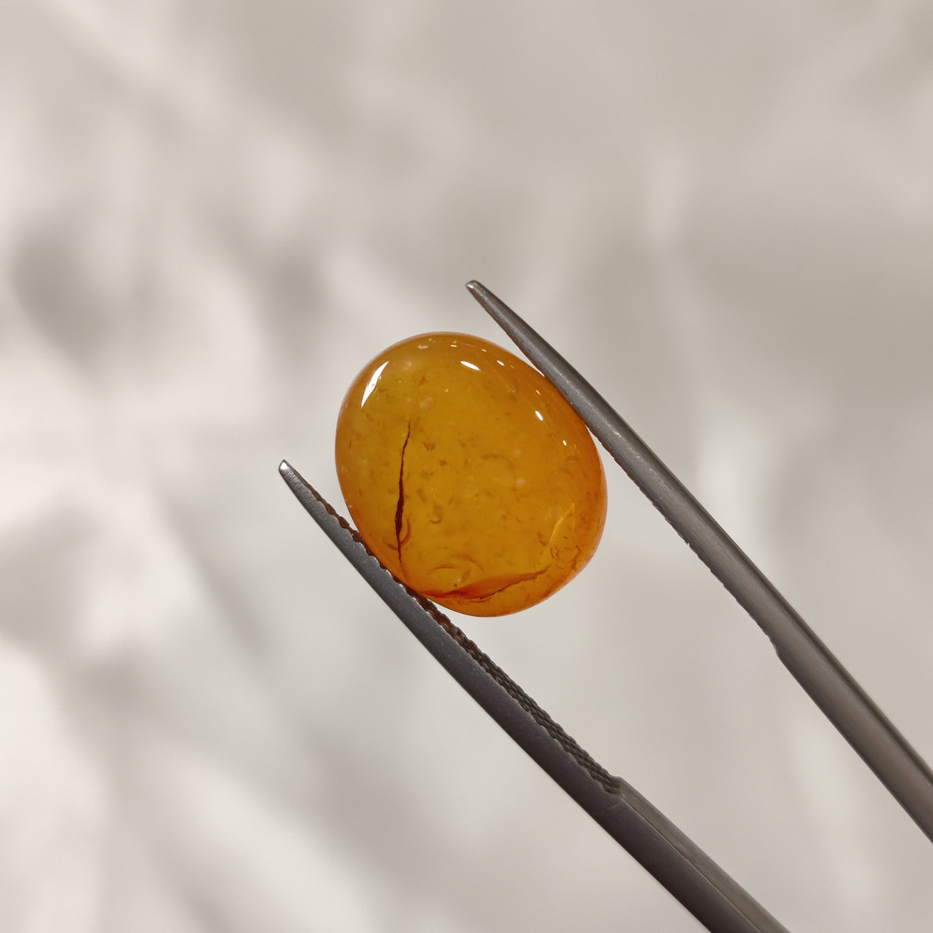 Carnelian | CNL 11 | 7.07 Carat