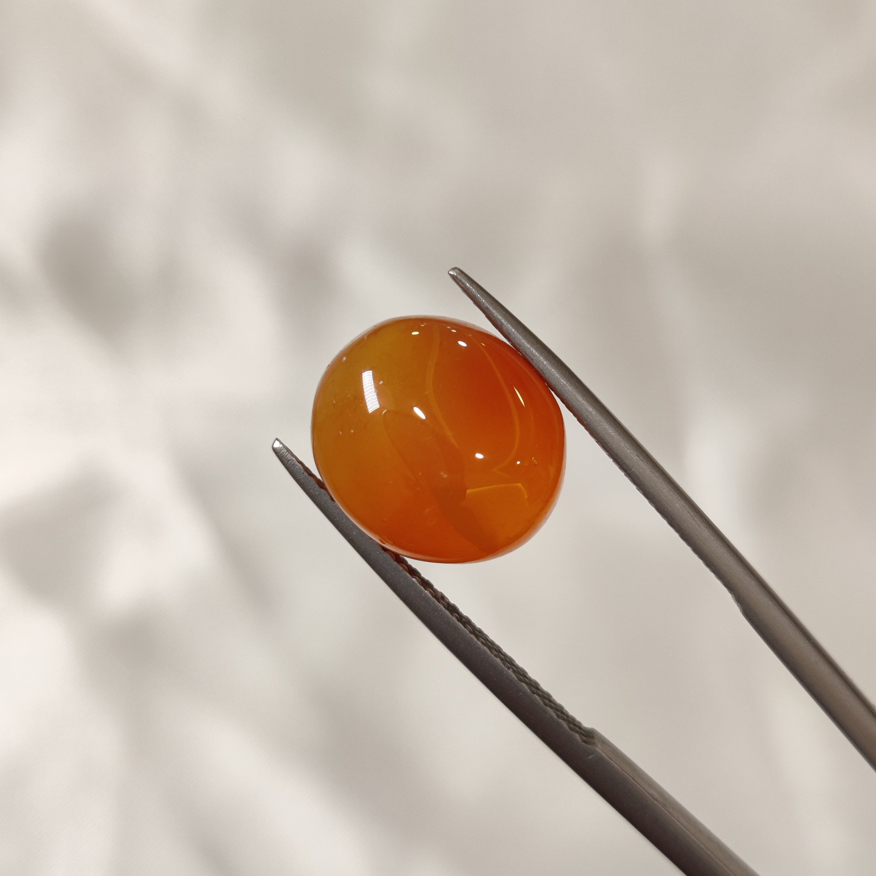 Carnelian | CNL 16 | 7.48 Carat