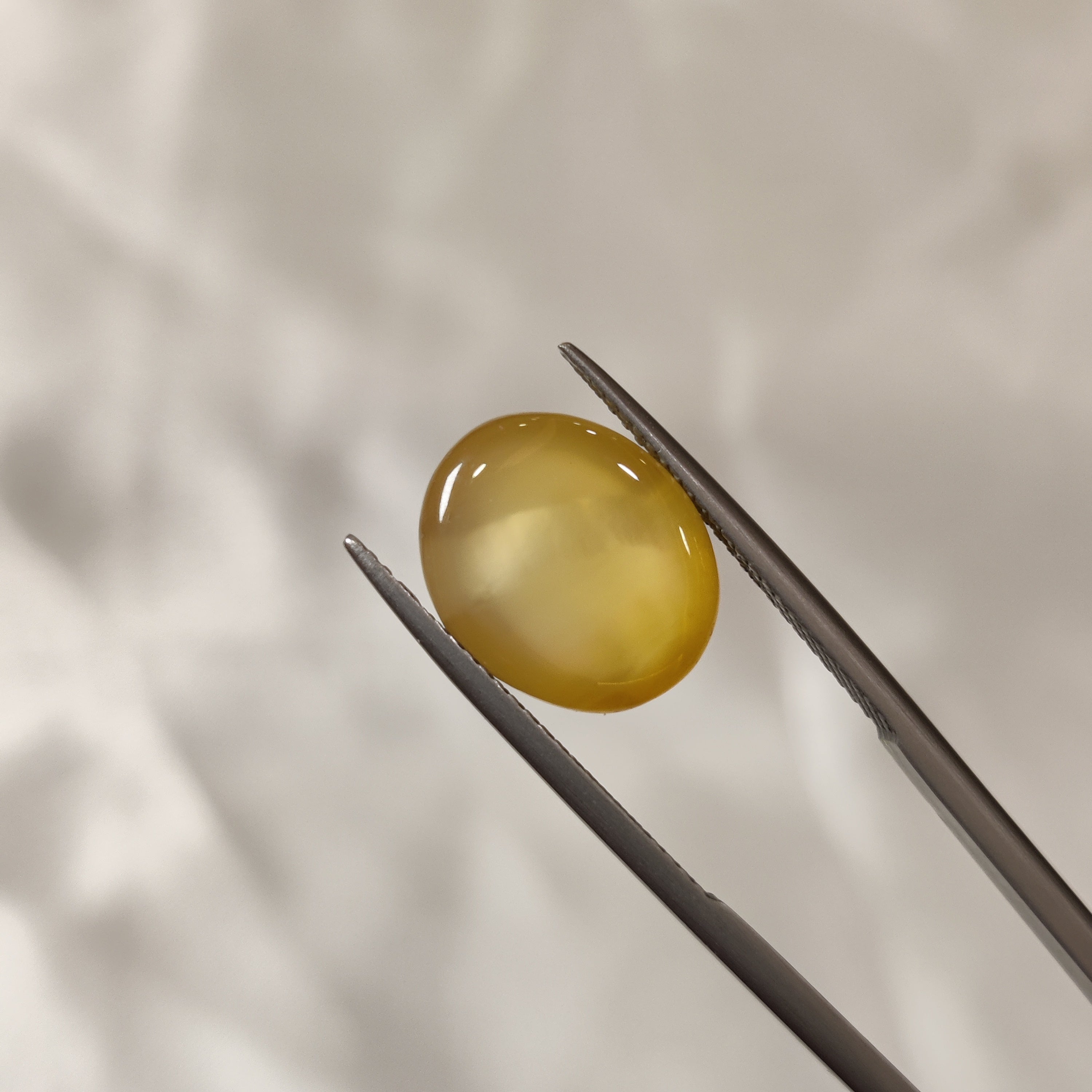 Carnelian | CNL 12 | 7.1 Carat