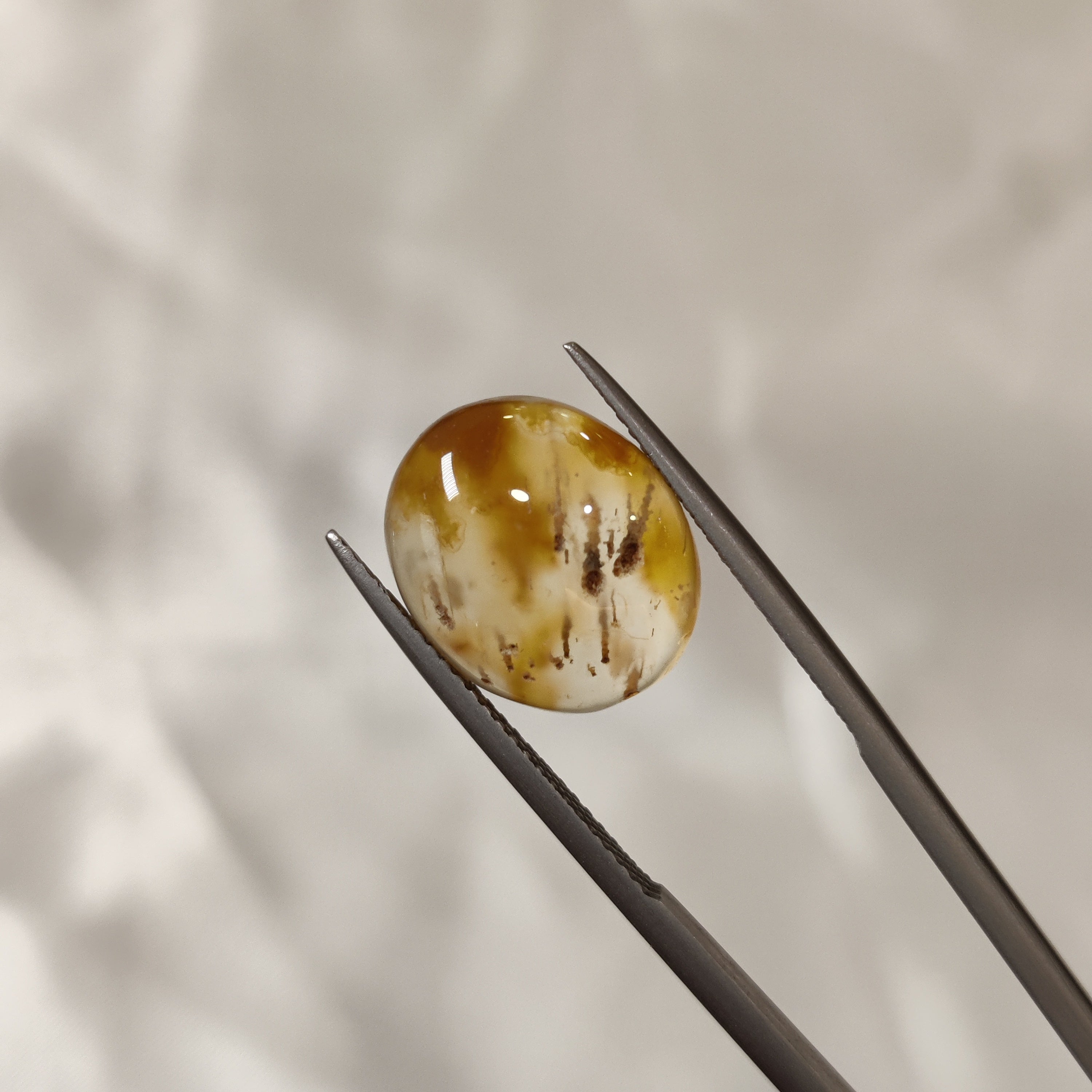 Carnelian | CNL 17 | 7.52 Carat