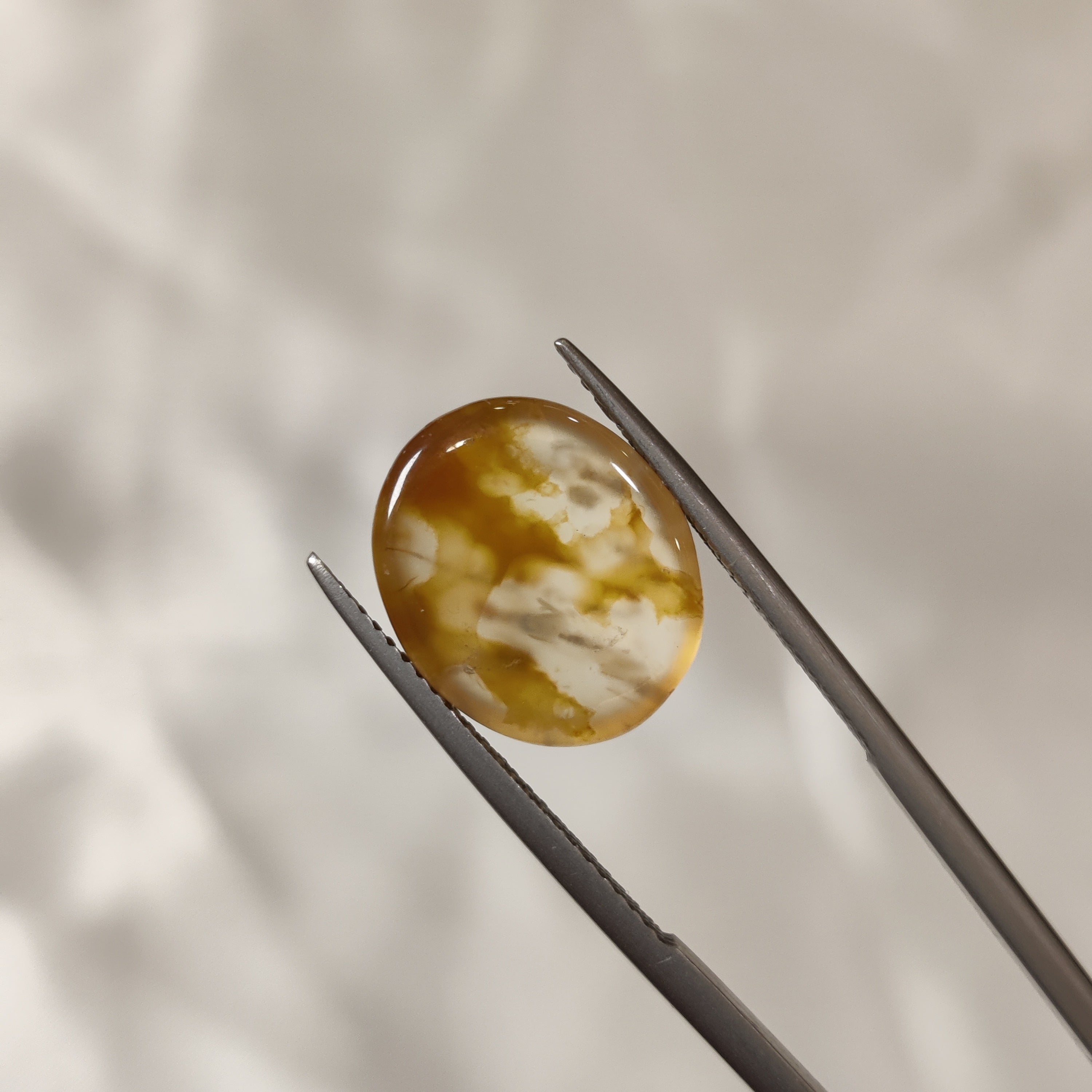 Carnelian | CNL 17 | 7.52 Carat