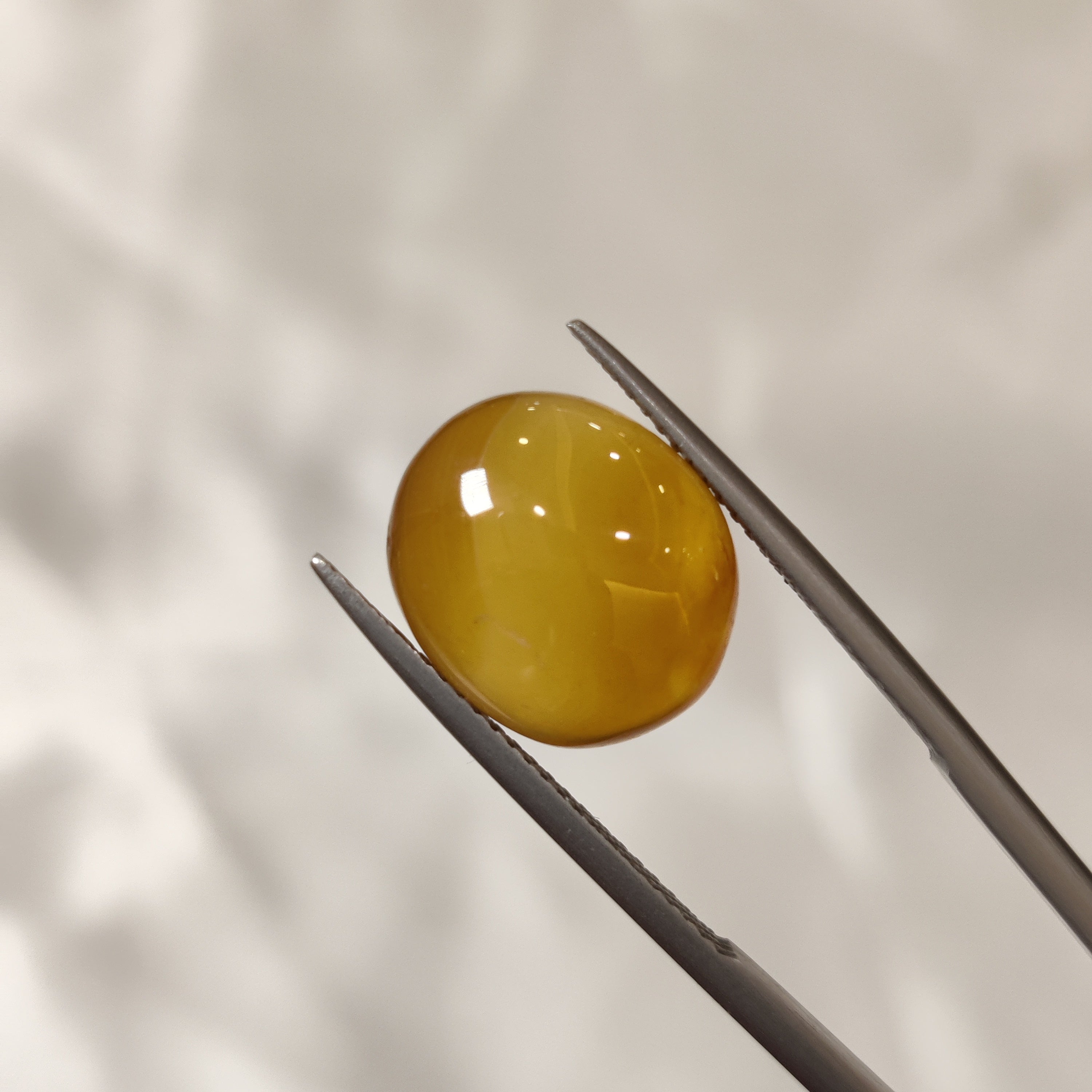 Carnelian | CNL 21 | 7.81 Carat