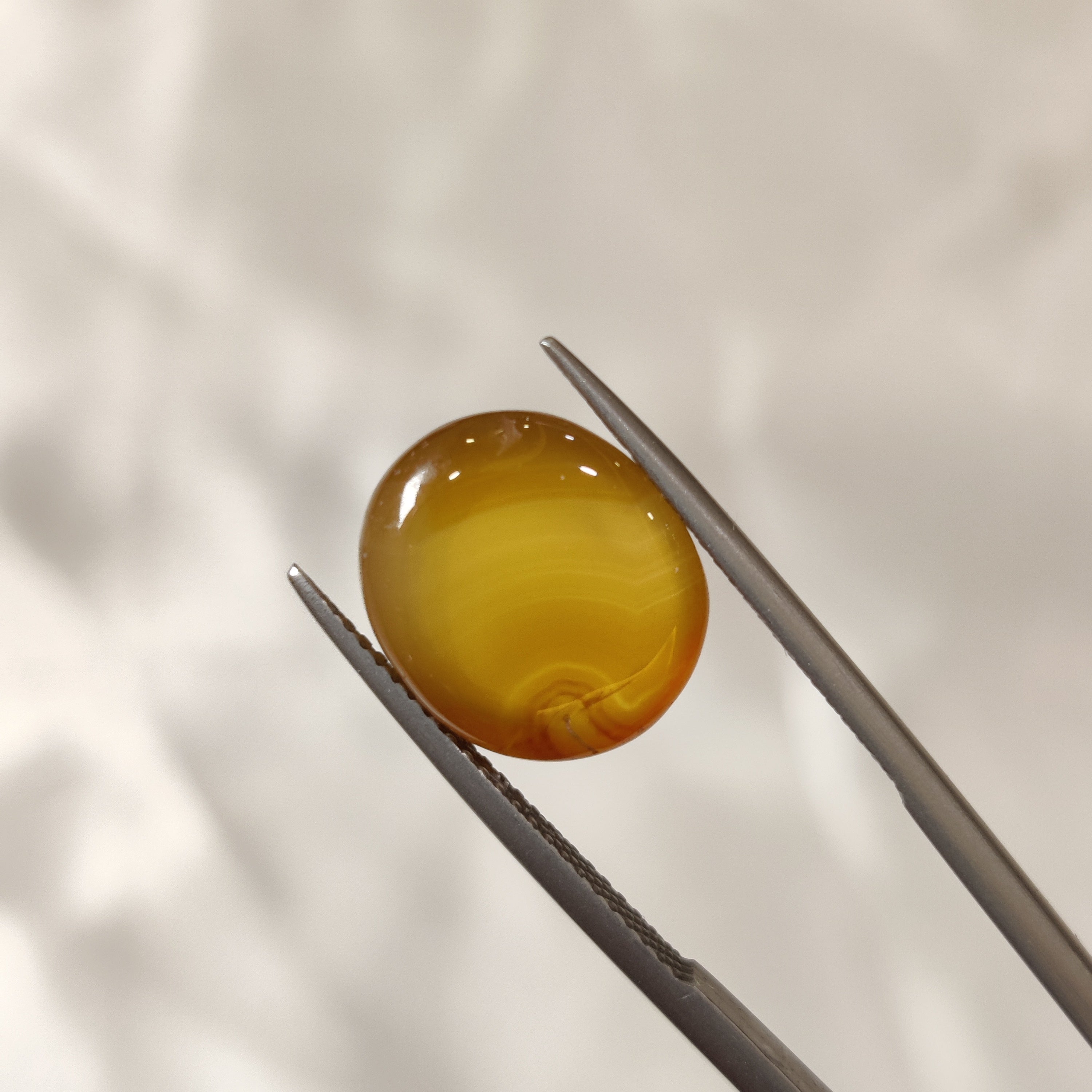 Carnelian | CNL 21 | 7.81 Carat