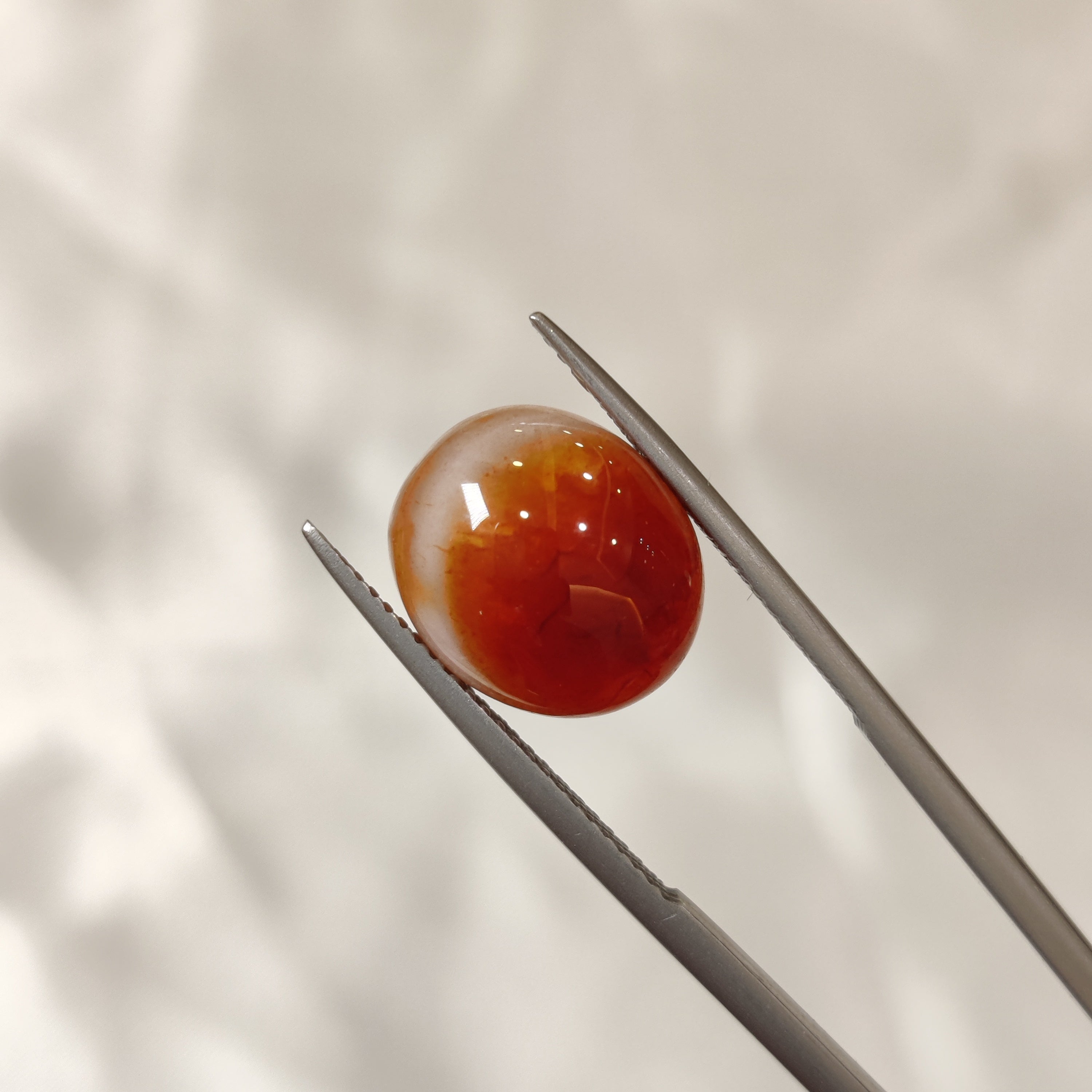 Carnelian | CNL 22 | 7.83 Carat
