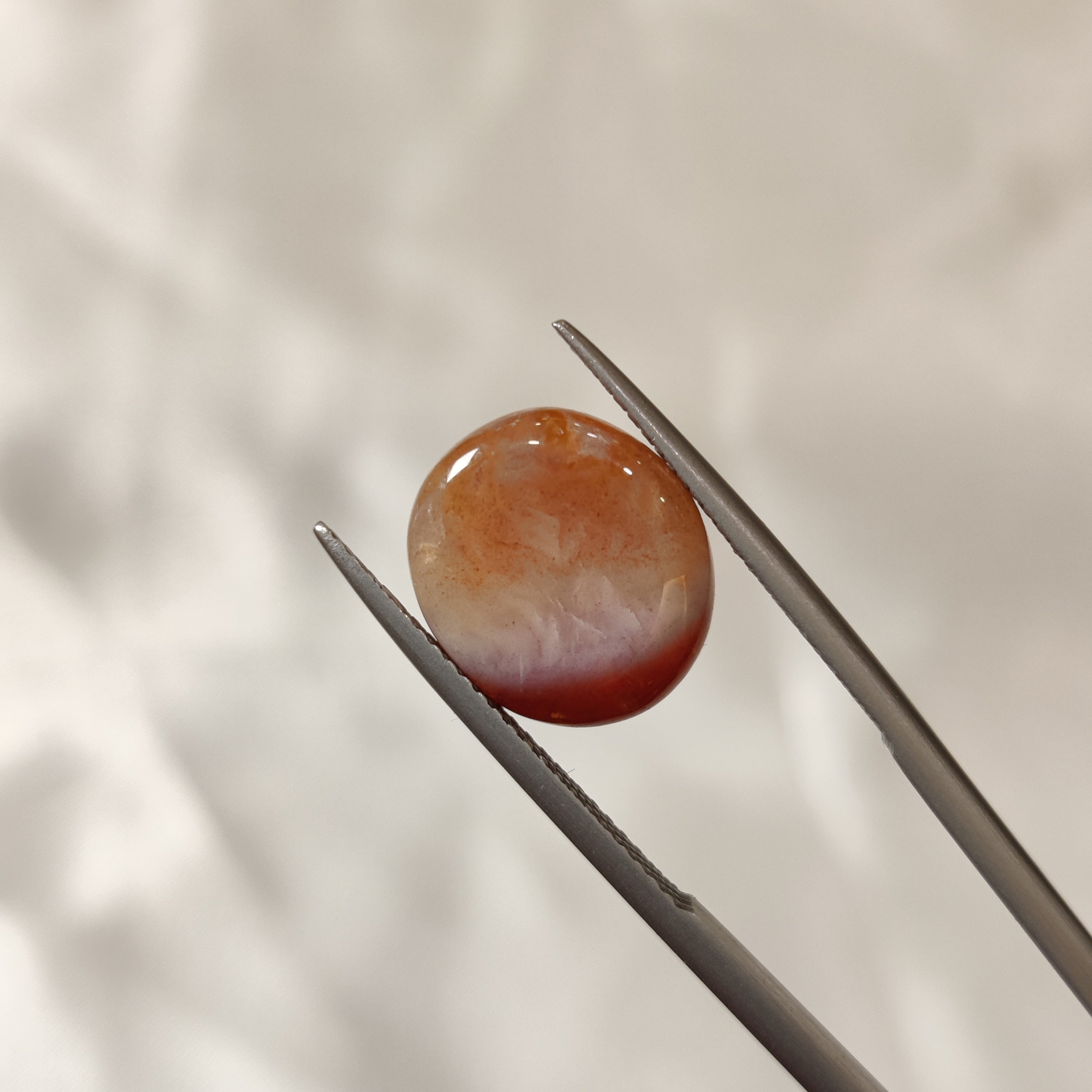 Carnelian | CNL 22 | 7.83 Carat