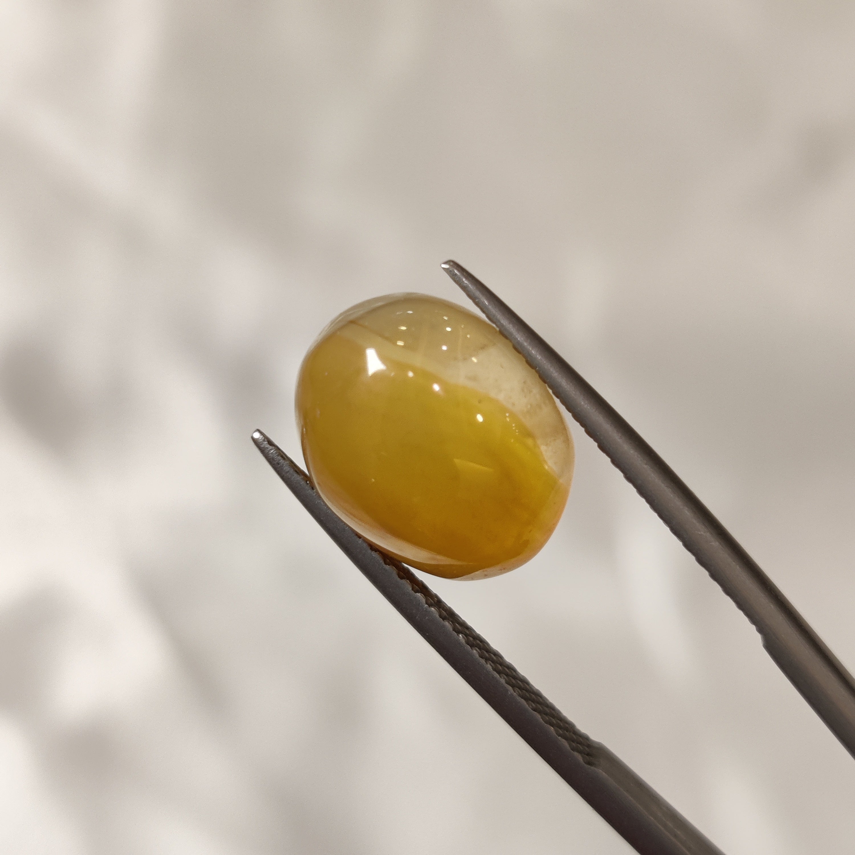 Carnelian | CNL 20 | 7.78 Carat