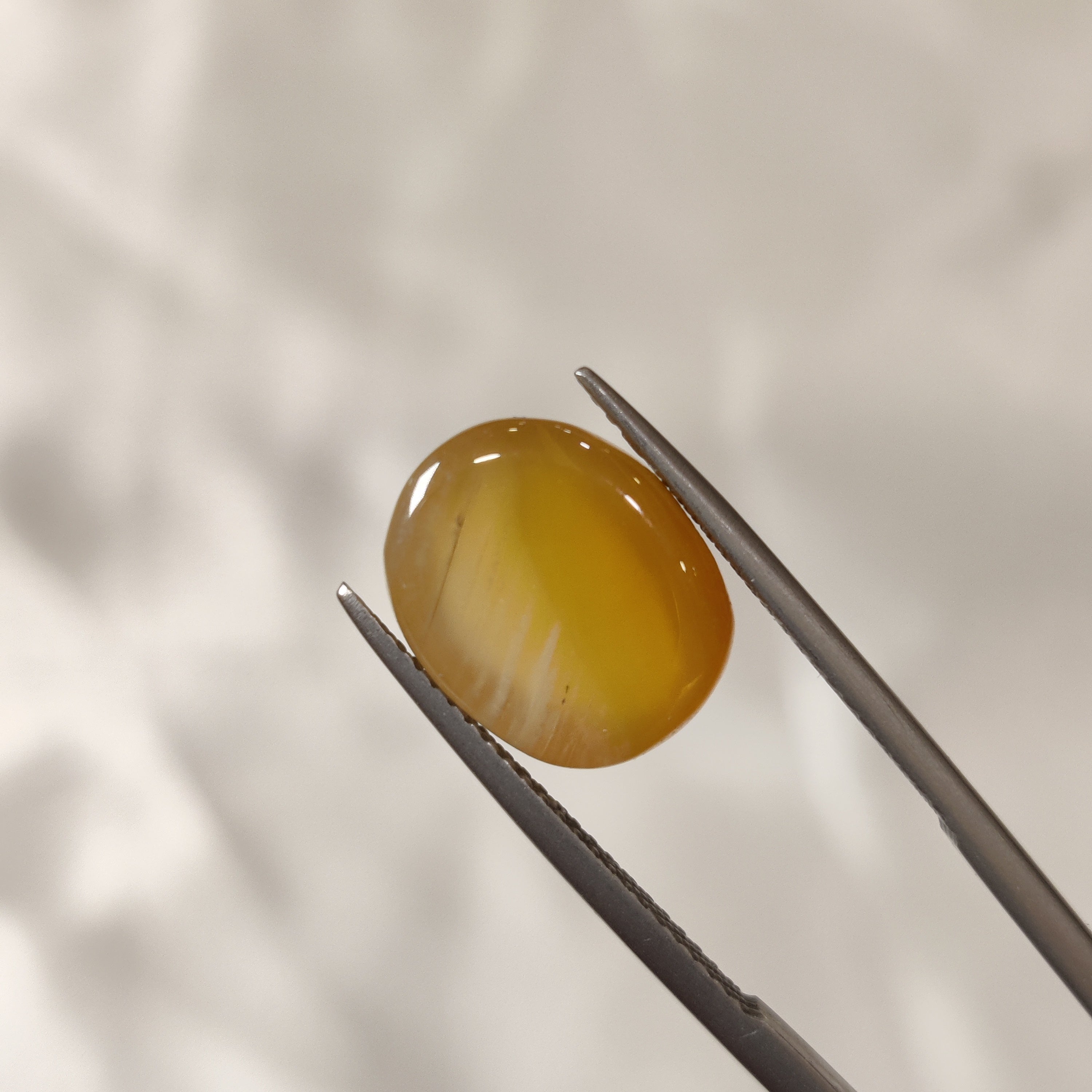 Carnelian | CNL 20 | 7.78 Carat