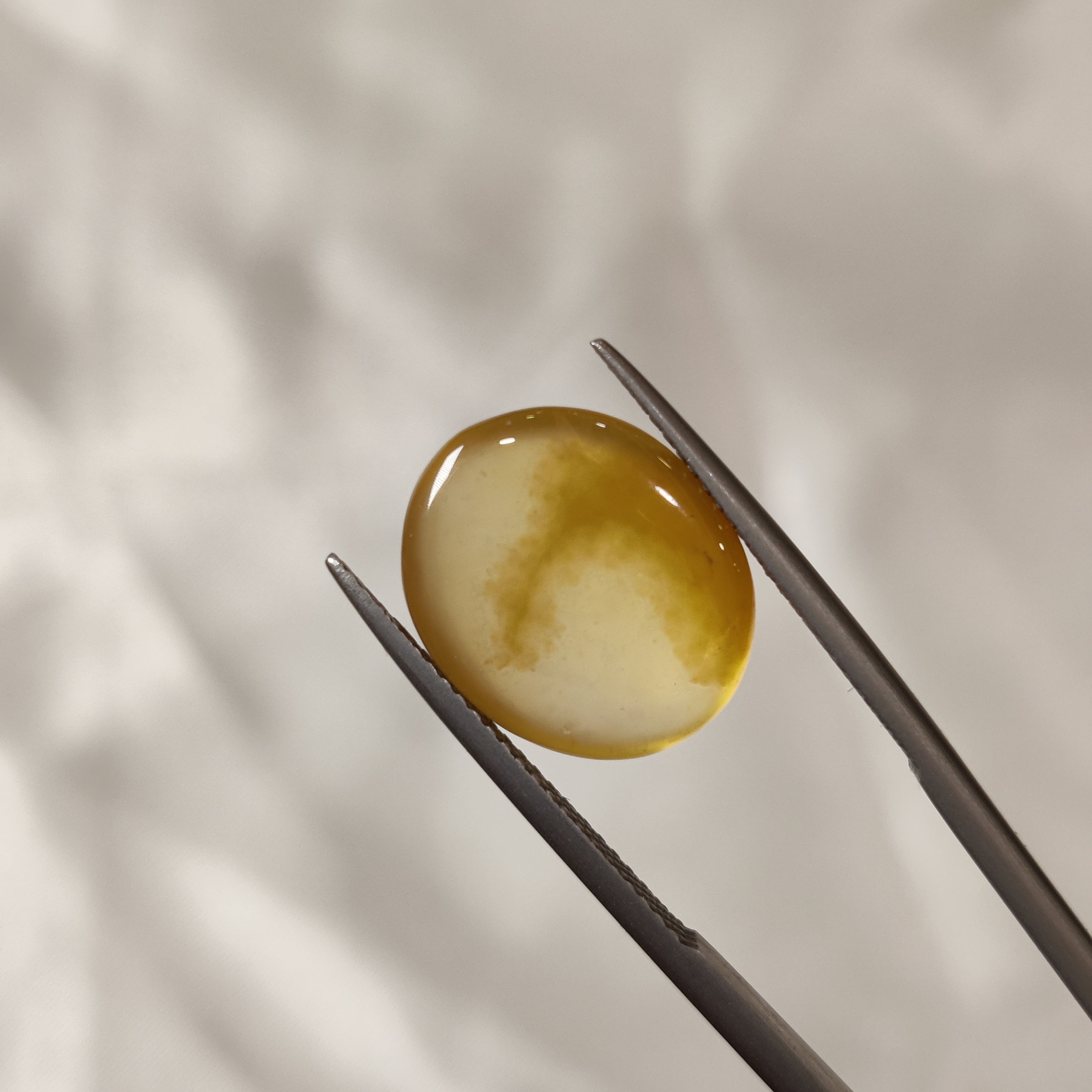 Carnelian | CNL 19 | 7.75 Carat