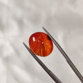 Carnelian | CNL 24 | 8.15 Carat