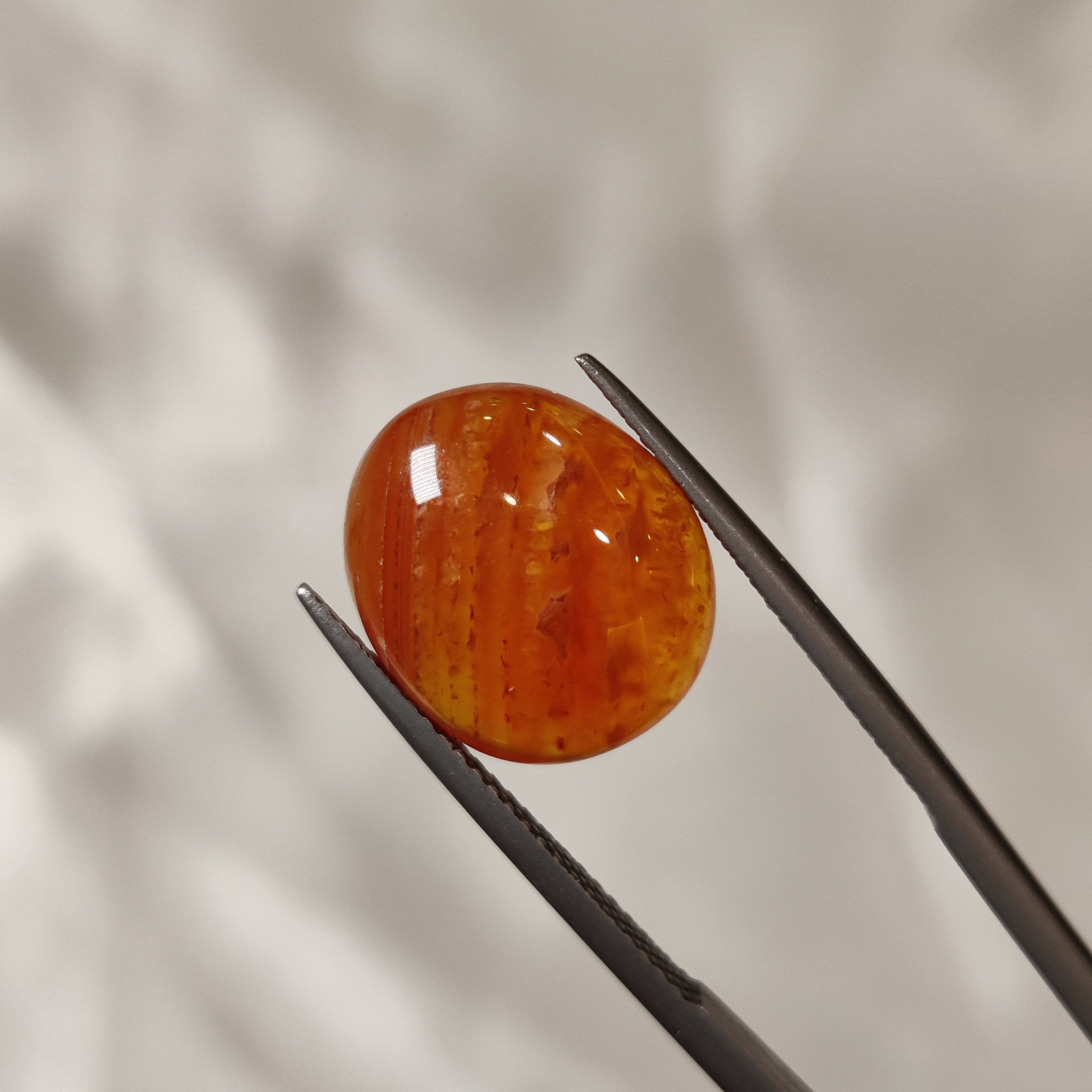 Carnelian | CNL 36 | 8.94 Carat
