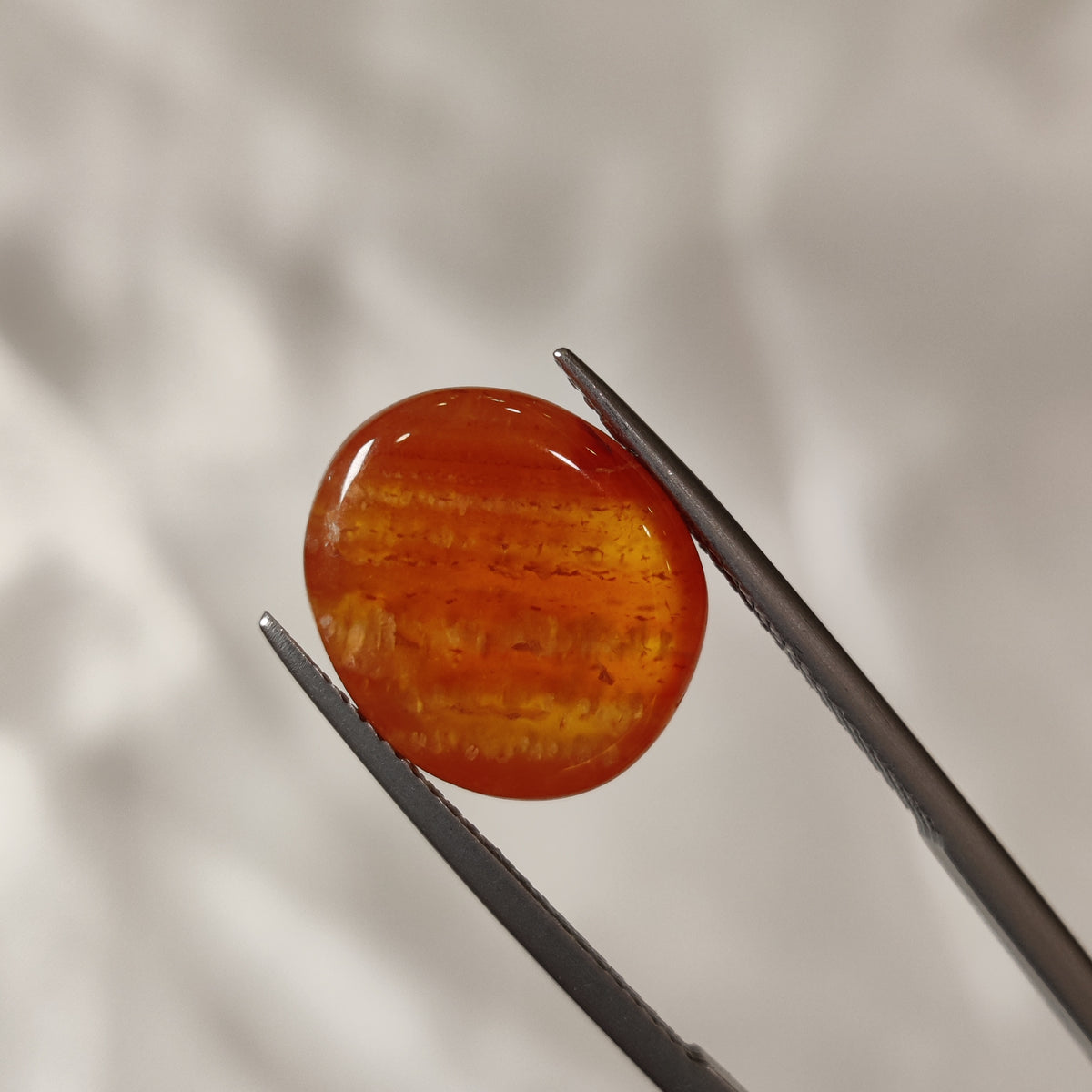 Natural Carnelian | CNL 36 | 8.94 Carat | Certified
