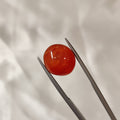 Carnelian | CNL 31 | 8.55 Carat