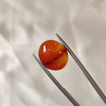 Carnelian | CNL 34 | 8.62 Carat