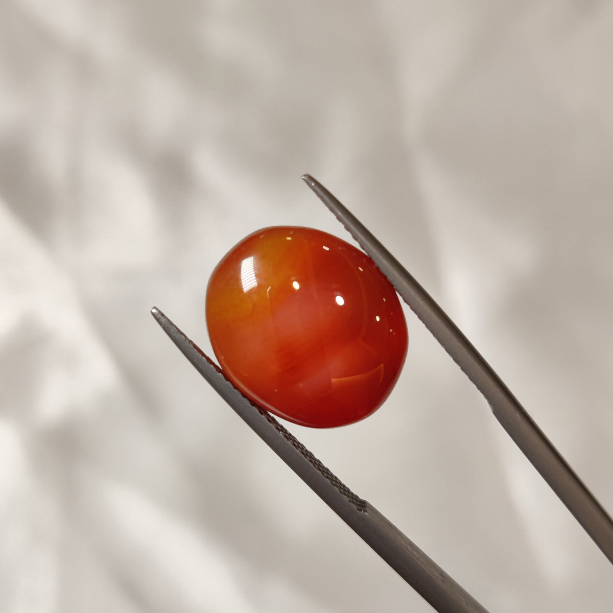 Natural Carnelian | CNL 40 | 9.95 Carat | Certified