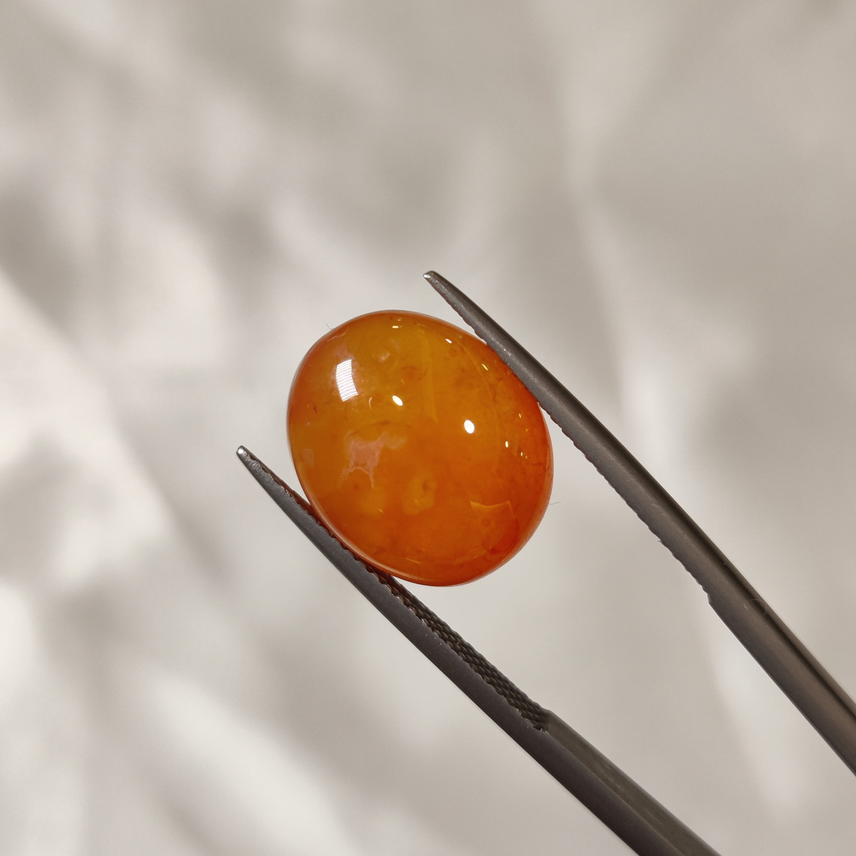 Carnelian | CNL 35 | 8.68 Carat