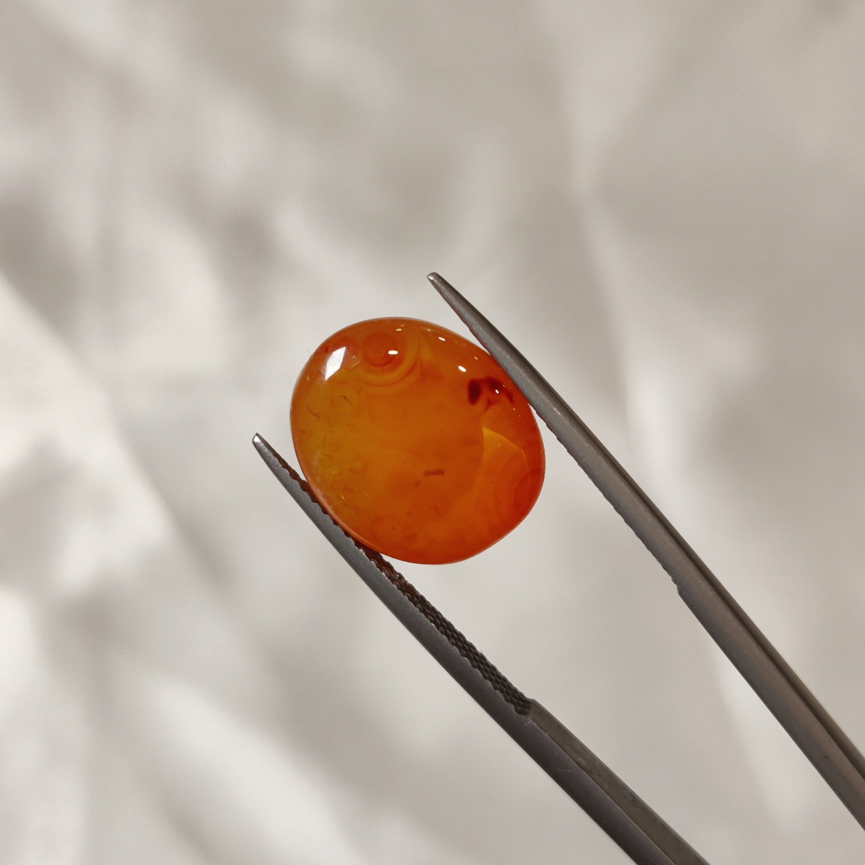 Carnelian | CNL 35 | 8.68 Carat