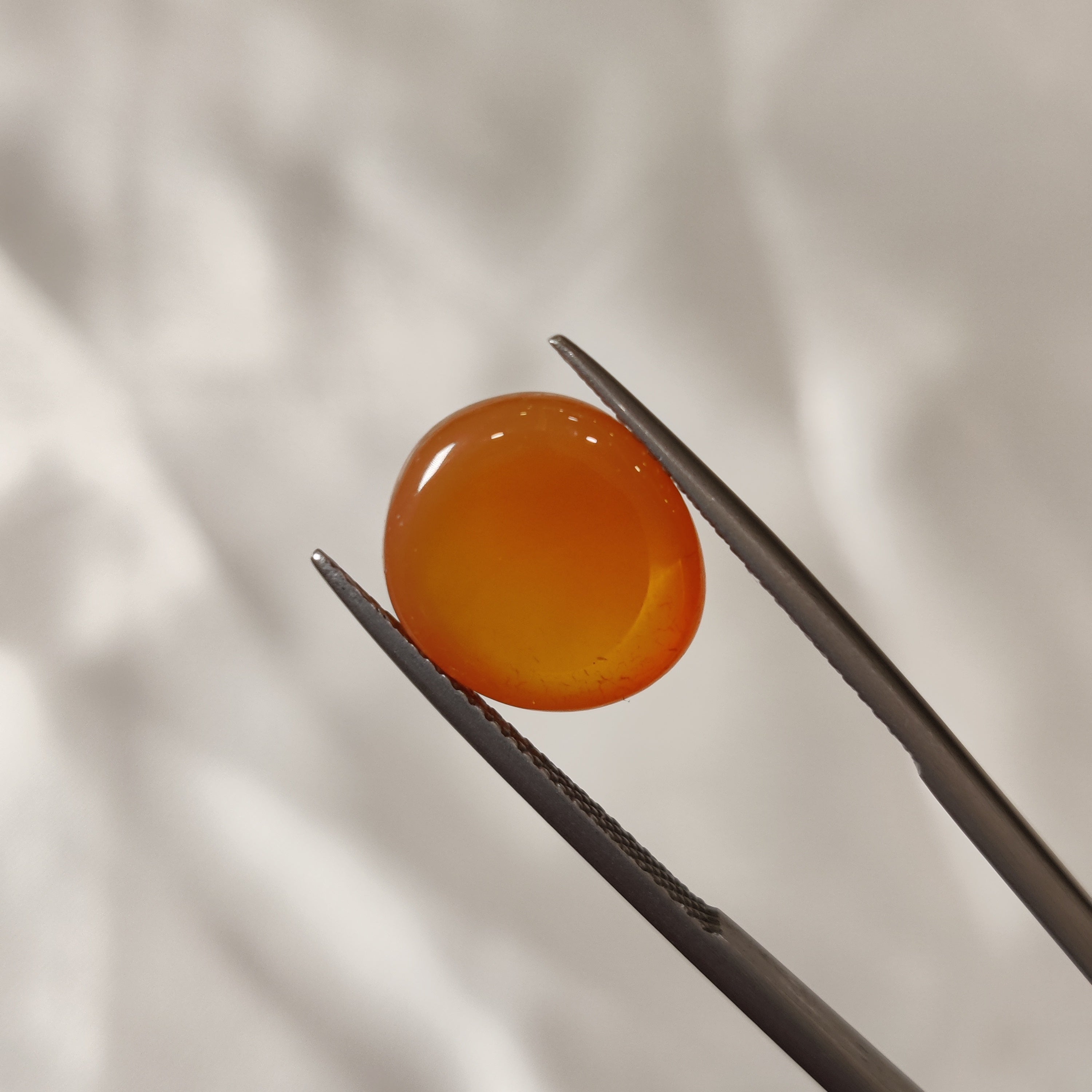 Carnelian | CNL 13 | 7.12 Carat