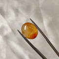 Carnelian | CNL 26 | 8.22 Carat
